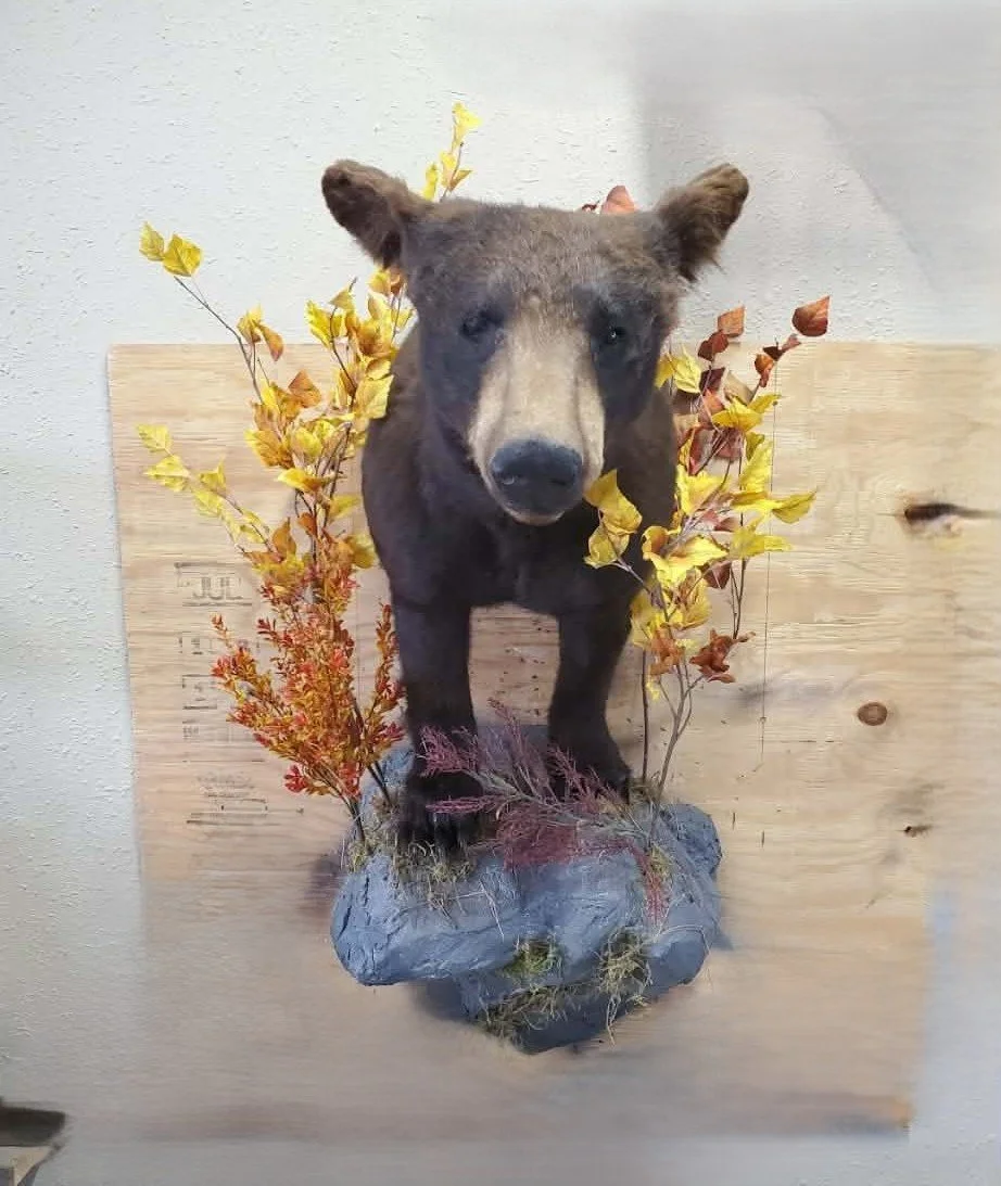 Taxidermy of a bear's head and upper body mounted on a rock base, surrounded by artificial yellow and red foliage and rocks.