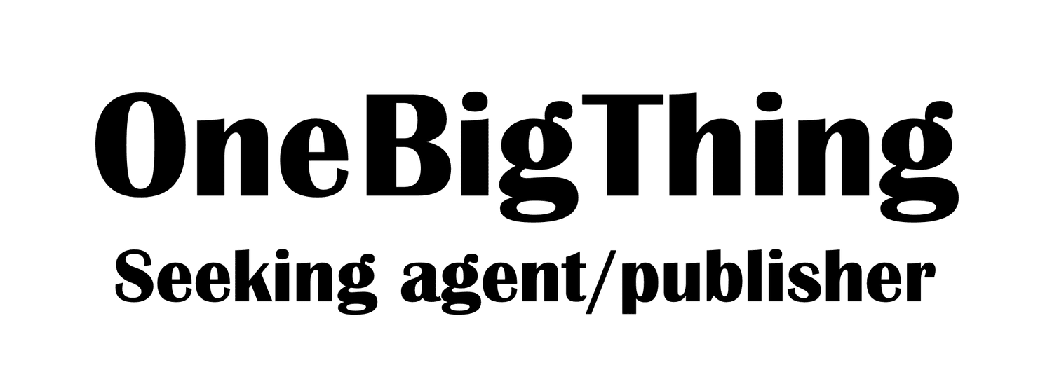 Seeking agent/publisher