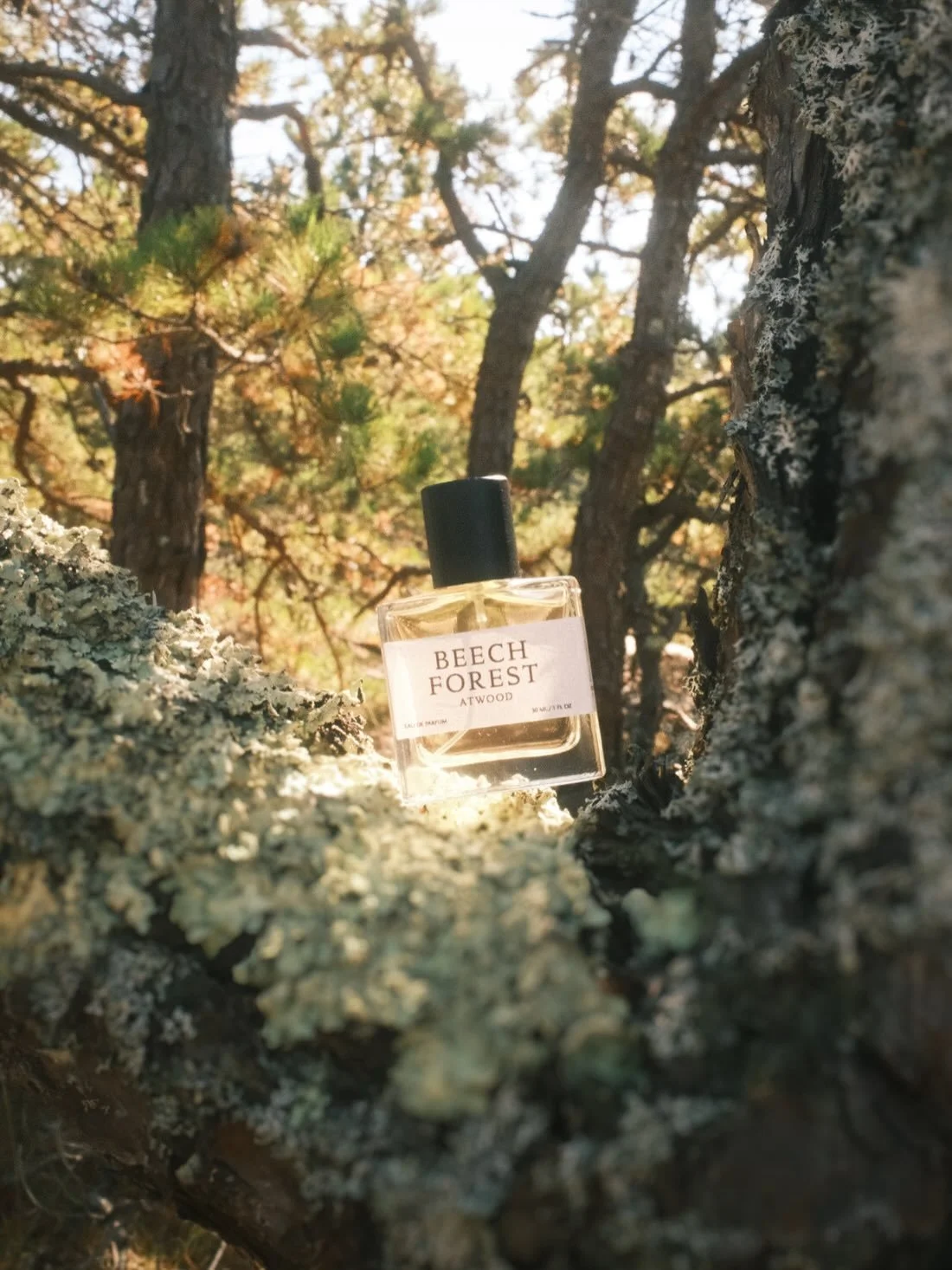 Stocking local Atwood Parfum @atwoodparfum on our shelves is the easiest decision we&rsquo;ve made. Atwood is an independent fragrance house inspired by the geography, history, and culture of Provincetown. 
The project began as Luke Anapolis&rsquo;s 