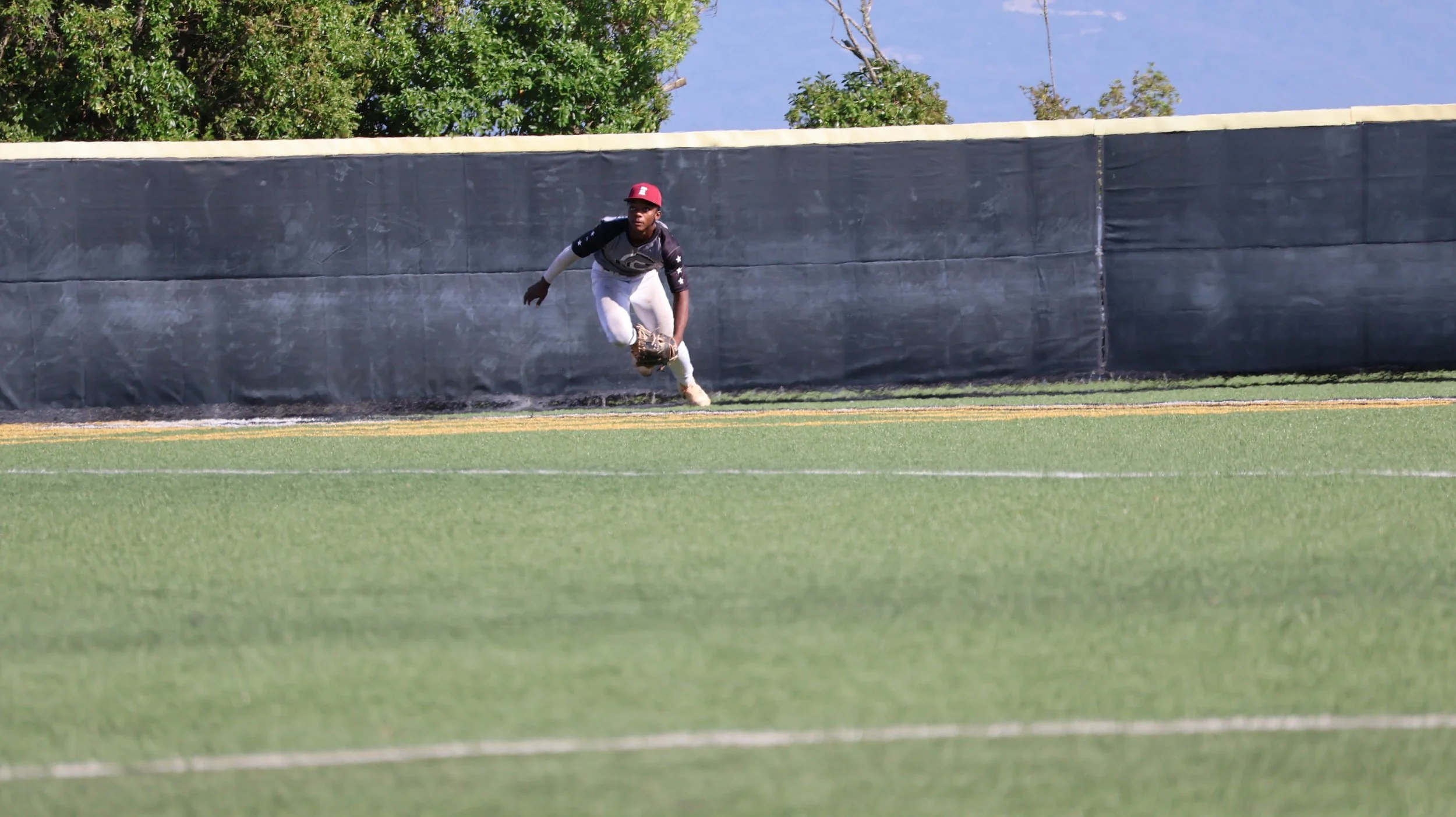 Baseball player in uniform diving to catch a ball on a field with green grass, black fence, and trees in the background.