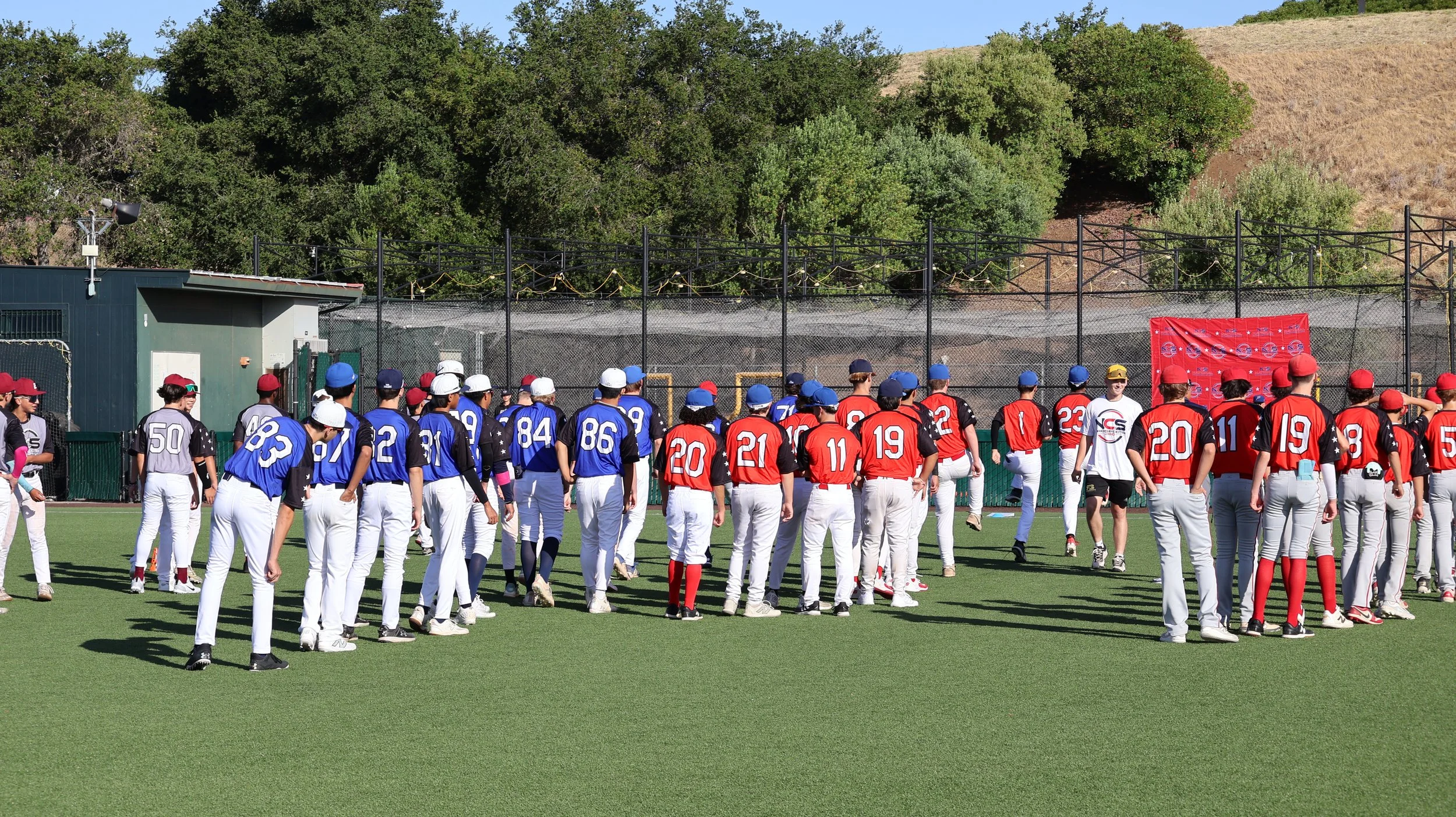 Young baseball players in colorful uniforms and caps standing on a green field during daytime, some facing away and others looking towards the field.