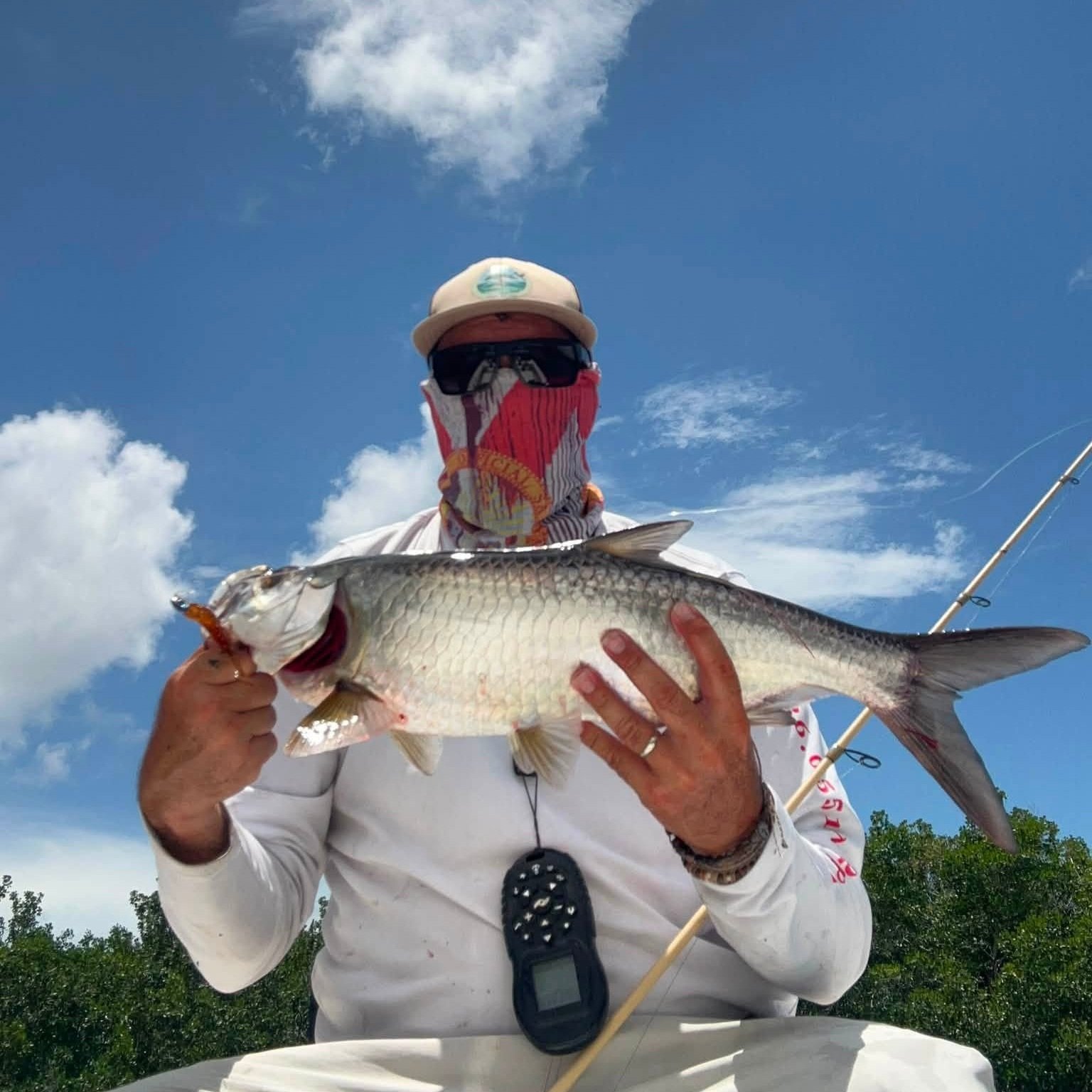 Juvenile+tarpon+caught+on+2.8+little+hammer+being+held+after+nice+fight.jpg