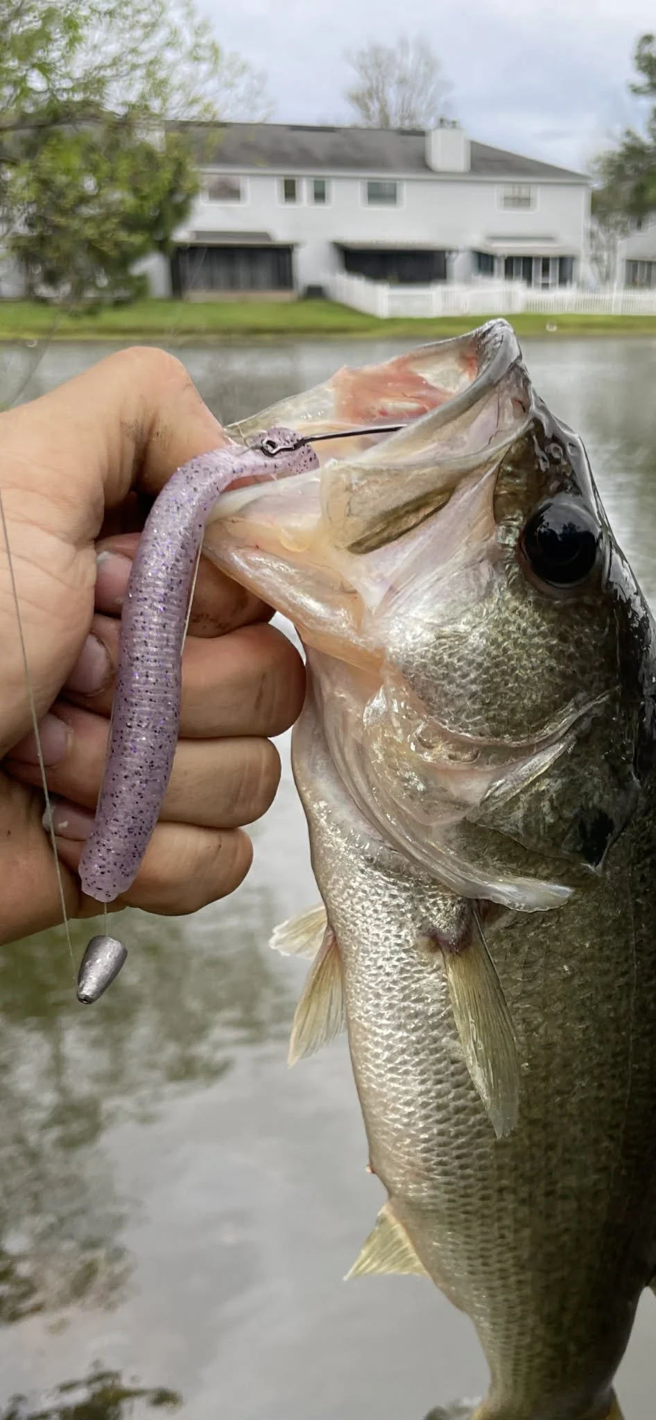 4.25" Paddle-Tail Worms