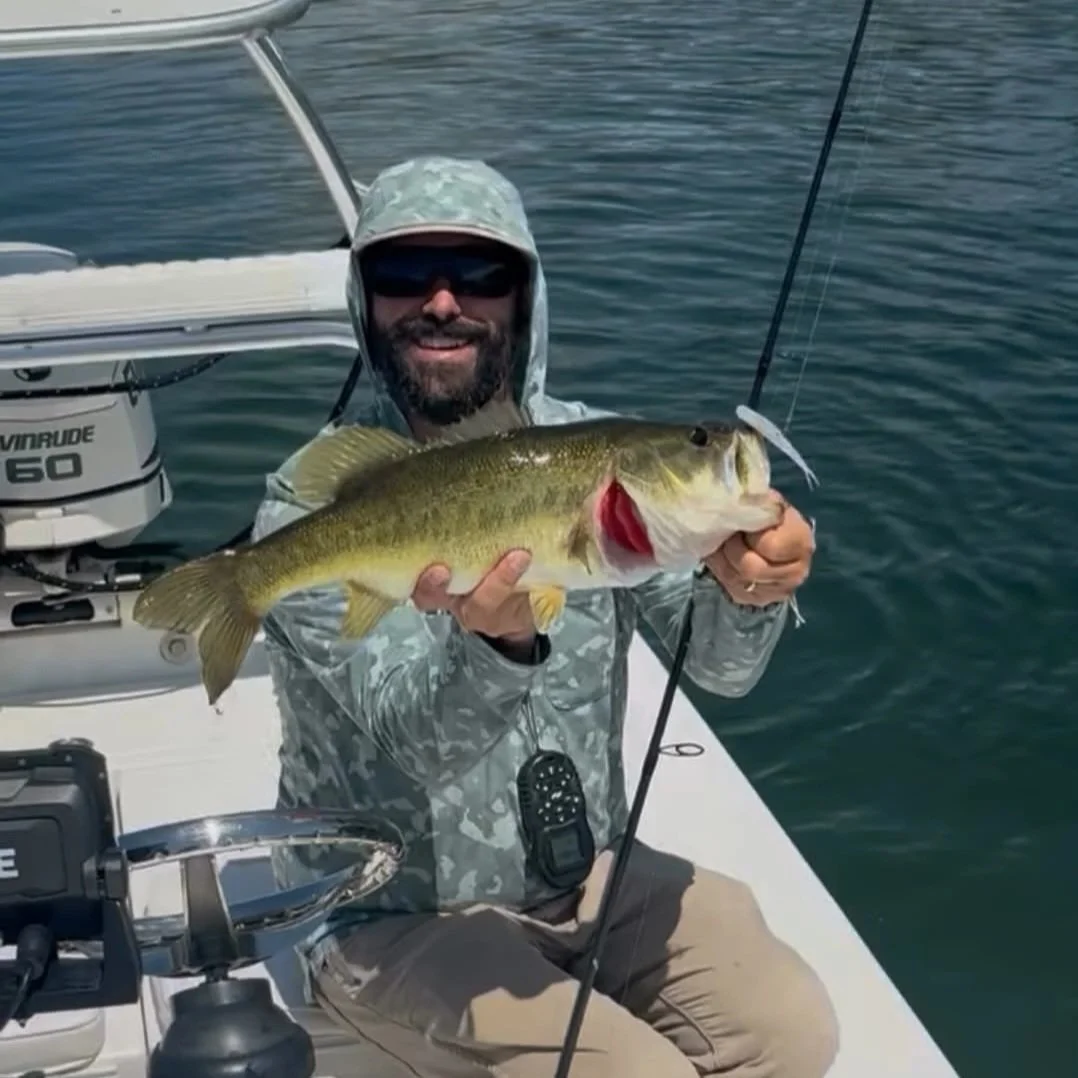 Man-holding-bass-he-caught-using-limit-out-lures-white-fluke