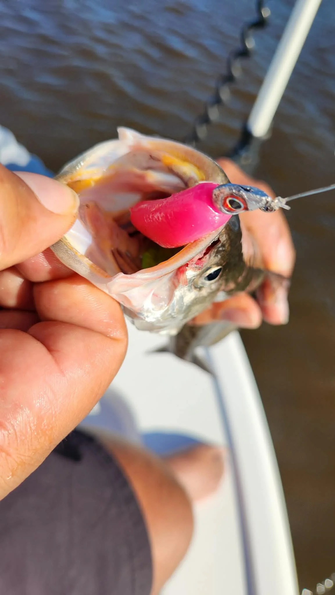 Dead Eye Jig Head Hooks