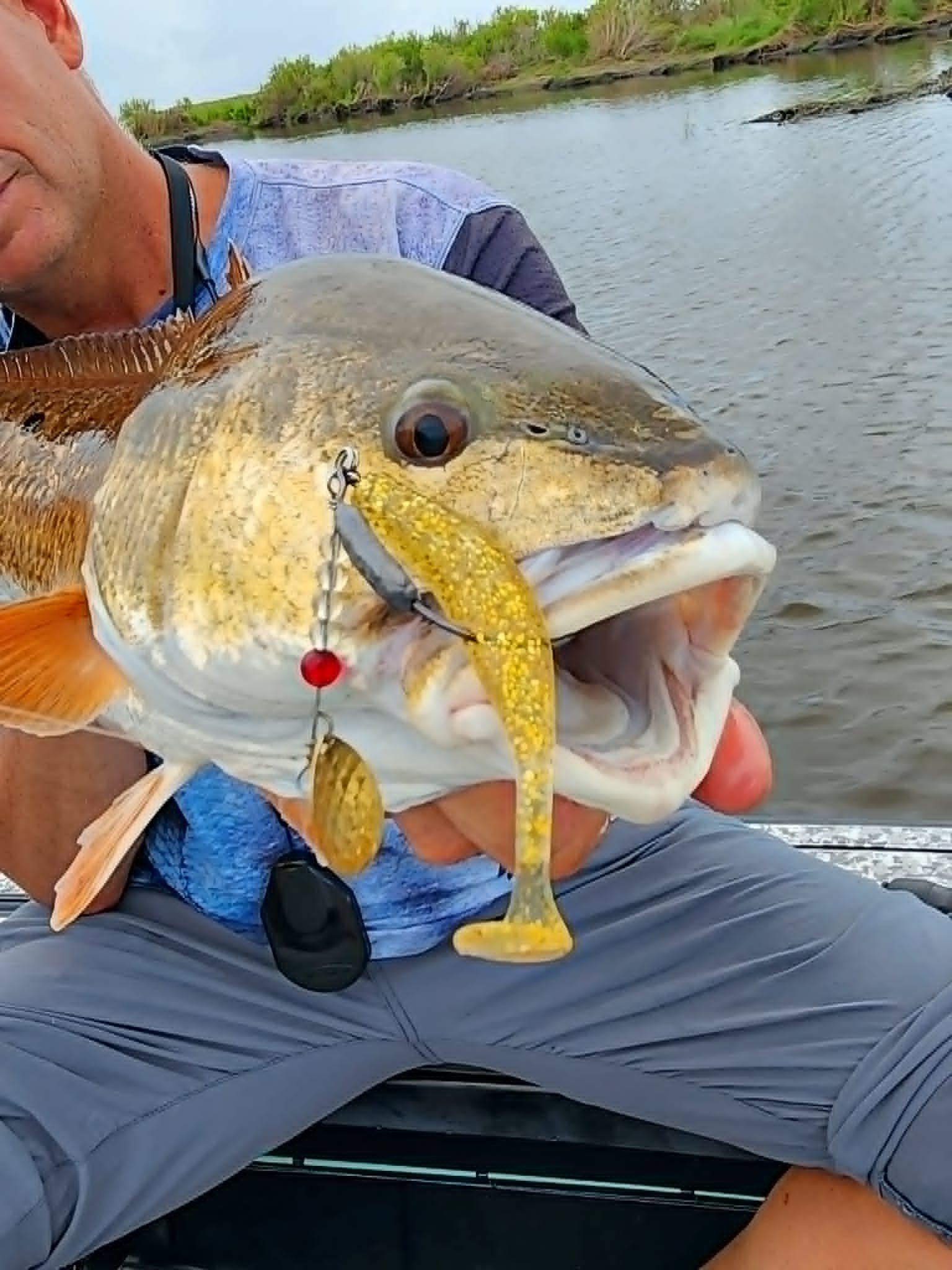 A person holding a large fish with a fishing lure in its mouth on a river.