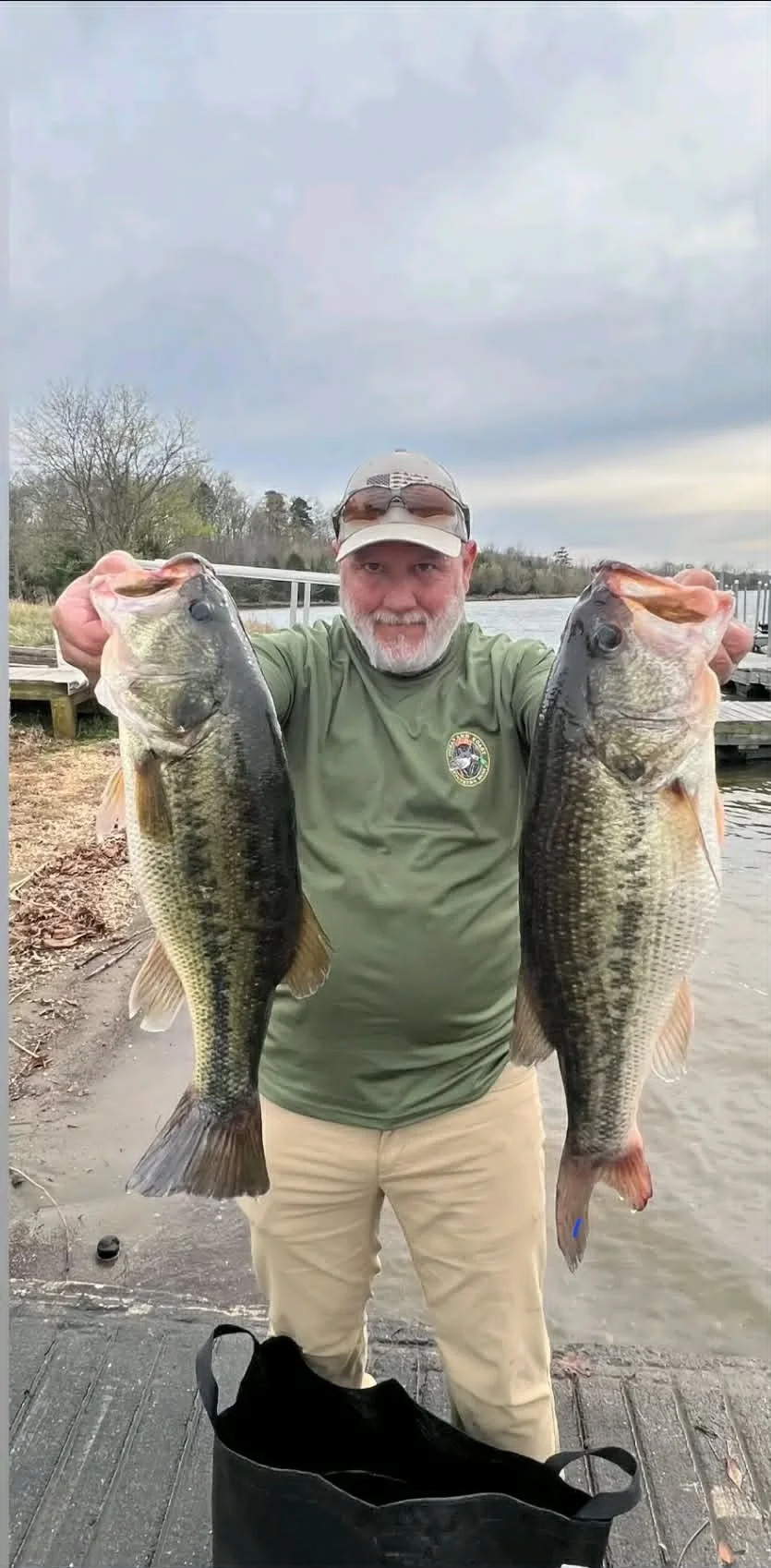A man wearing a green shirt, beige pants, and a cap holding two large fish, one in each hand, near a water body with trees and a dock in the background.