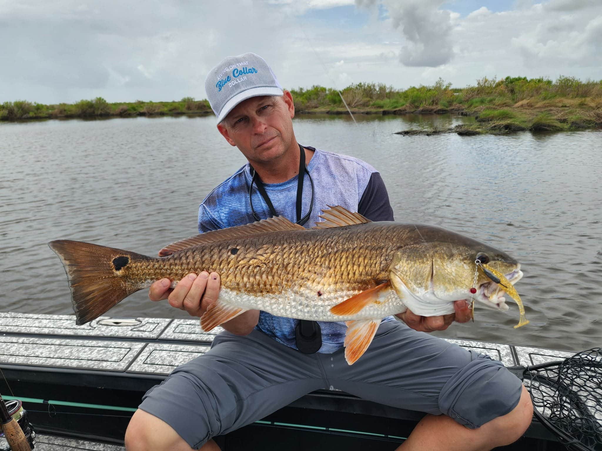Richard hold large redfish caught using the 14k 3.8 inch swimbait in LA 