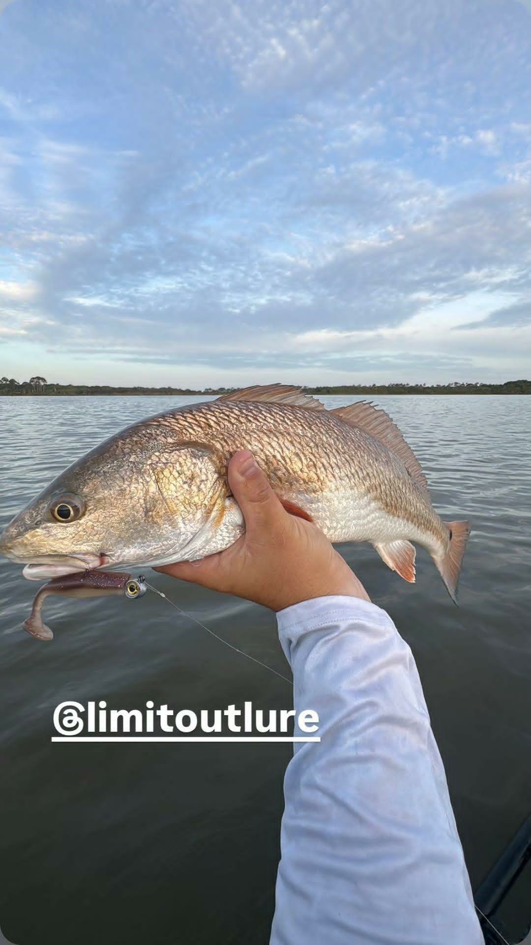 A person holding a fish with a cloudy sky and water in the background.