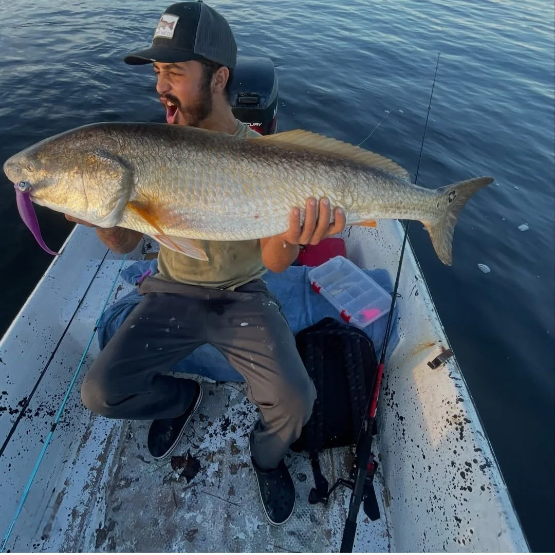 Jacksonville-fl-fisherman-catch-bull-red-on-9-inch-x-cite-shad-from-limit-out-lures