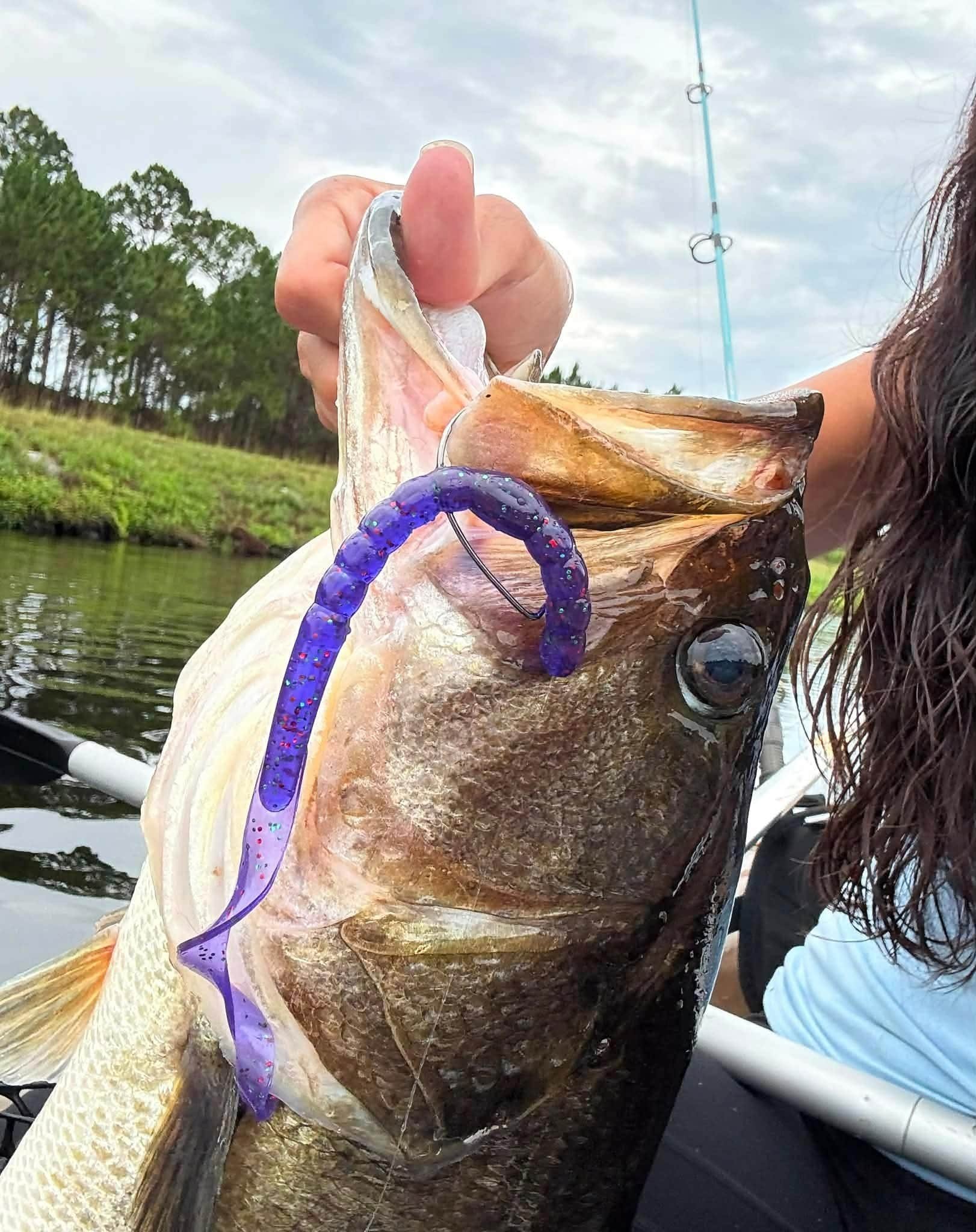 10+pound+bass+being+held+after+caught+on+limit+out+lures+soft+plasticlegend+worm_compressed.jpg