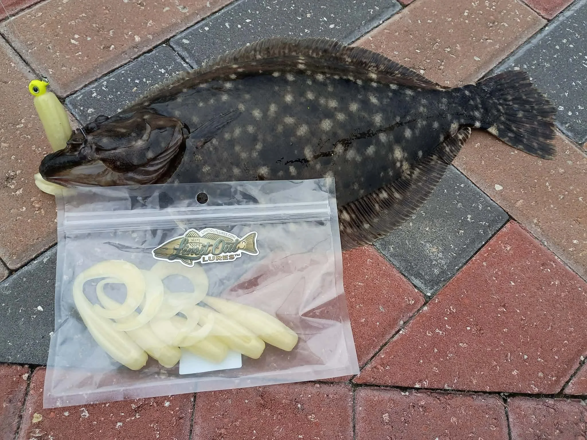 how to catch Flounder with limit out fishing lure. 4.5" fatty grub in its mouth lies on a brick sidewalk