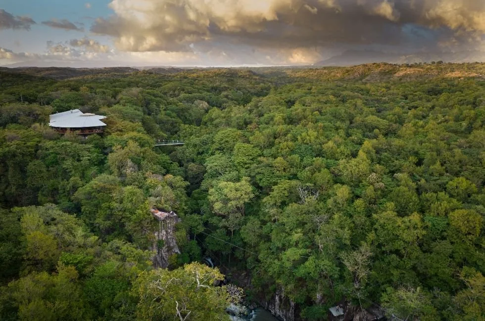 A vast green forest with a house on a hill and a bridge in the distance, under a cloudy sky during sunset or sunrise.
