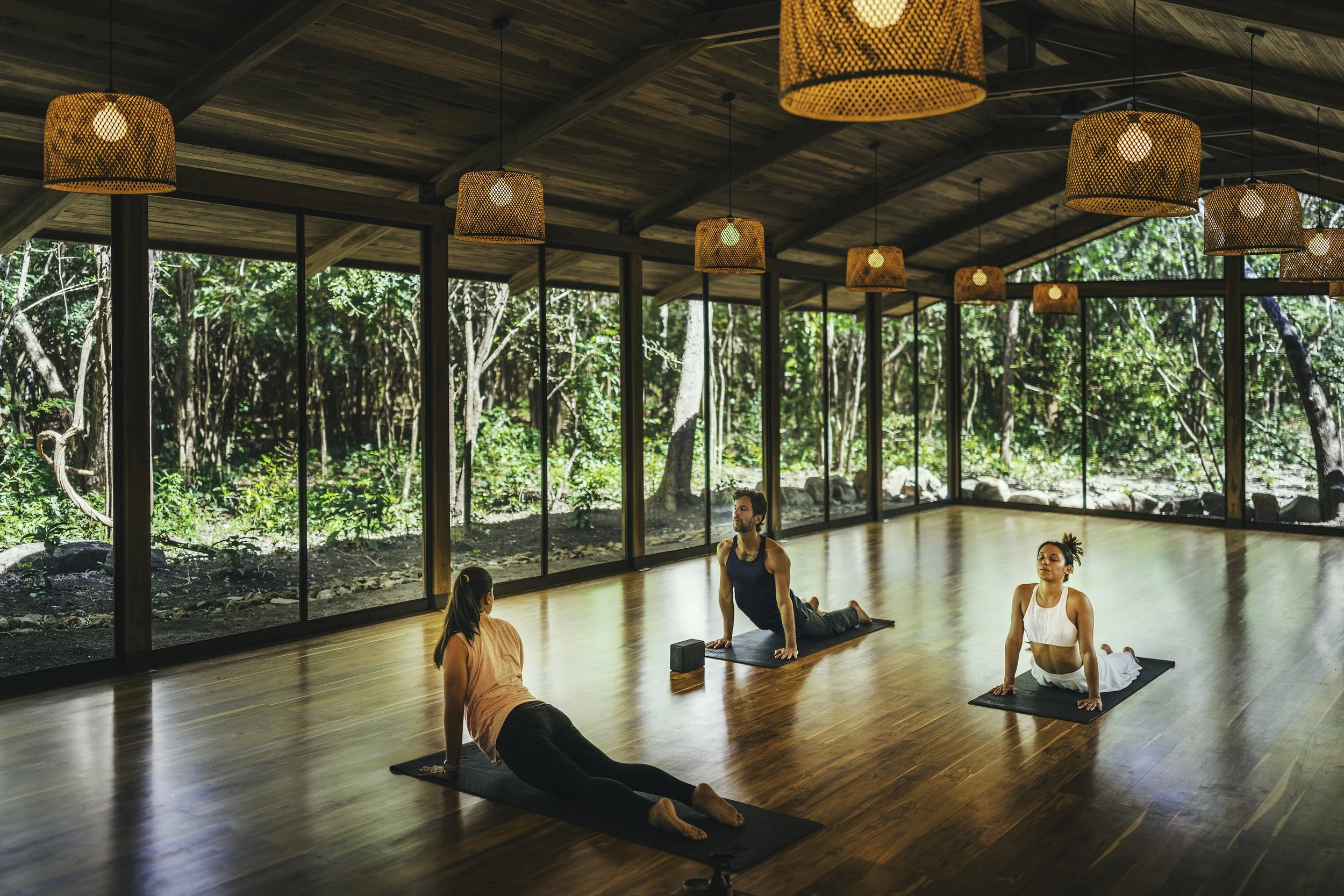 Three people practicing yoga in a spacious studio with large glass windows and a wooden ceiling, overlooking a lush green forest.