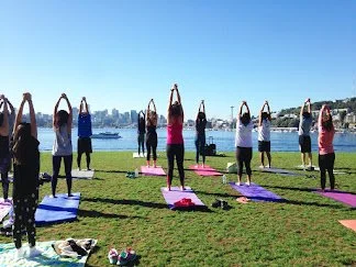 Group of people practicing yoga outdoors on a grassy area near a body of water with a city skyline in the background.