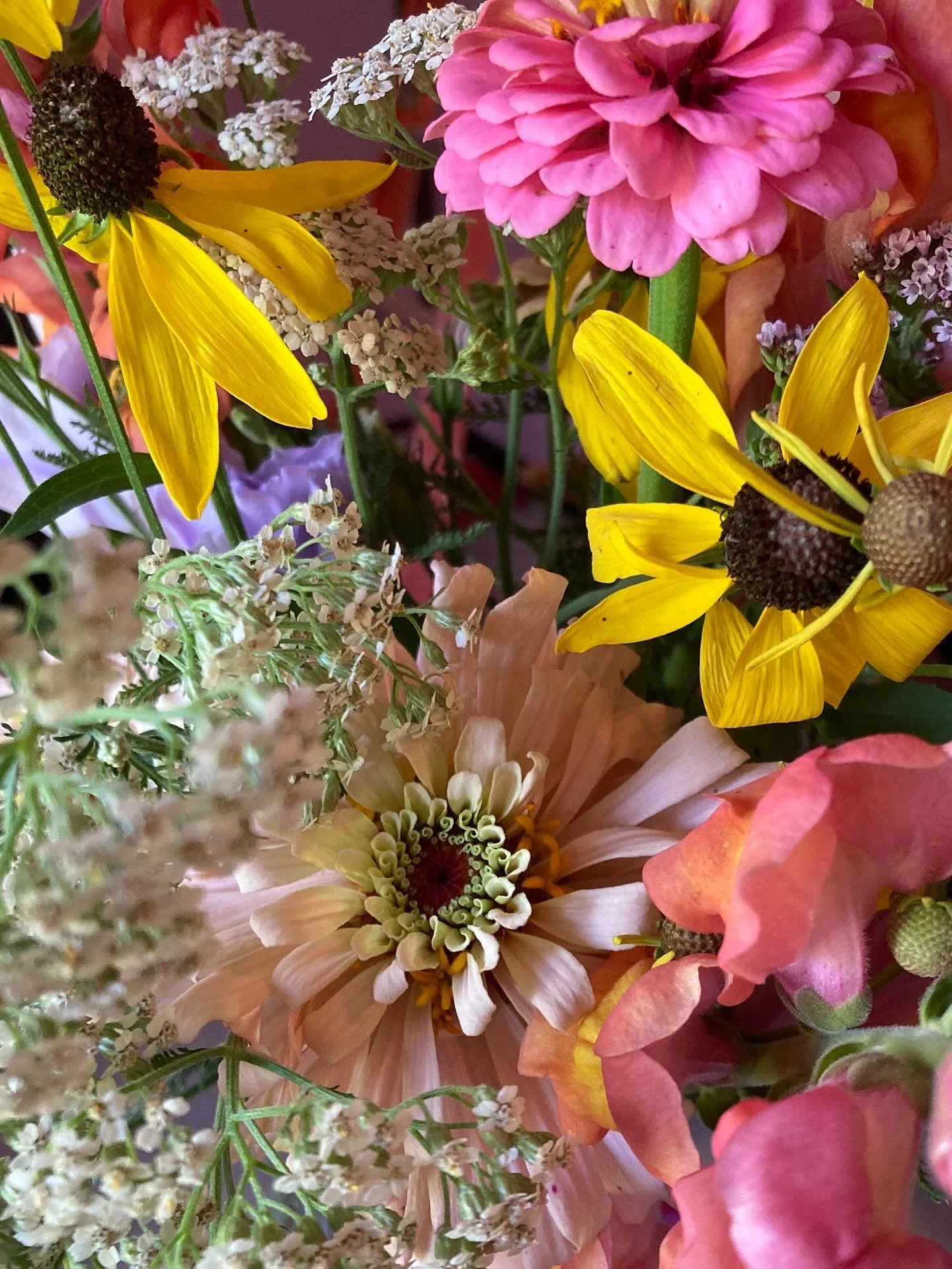 Full Season Subscription