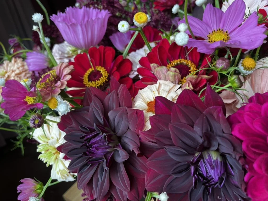 Mini Autumn Flower Subscription