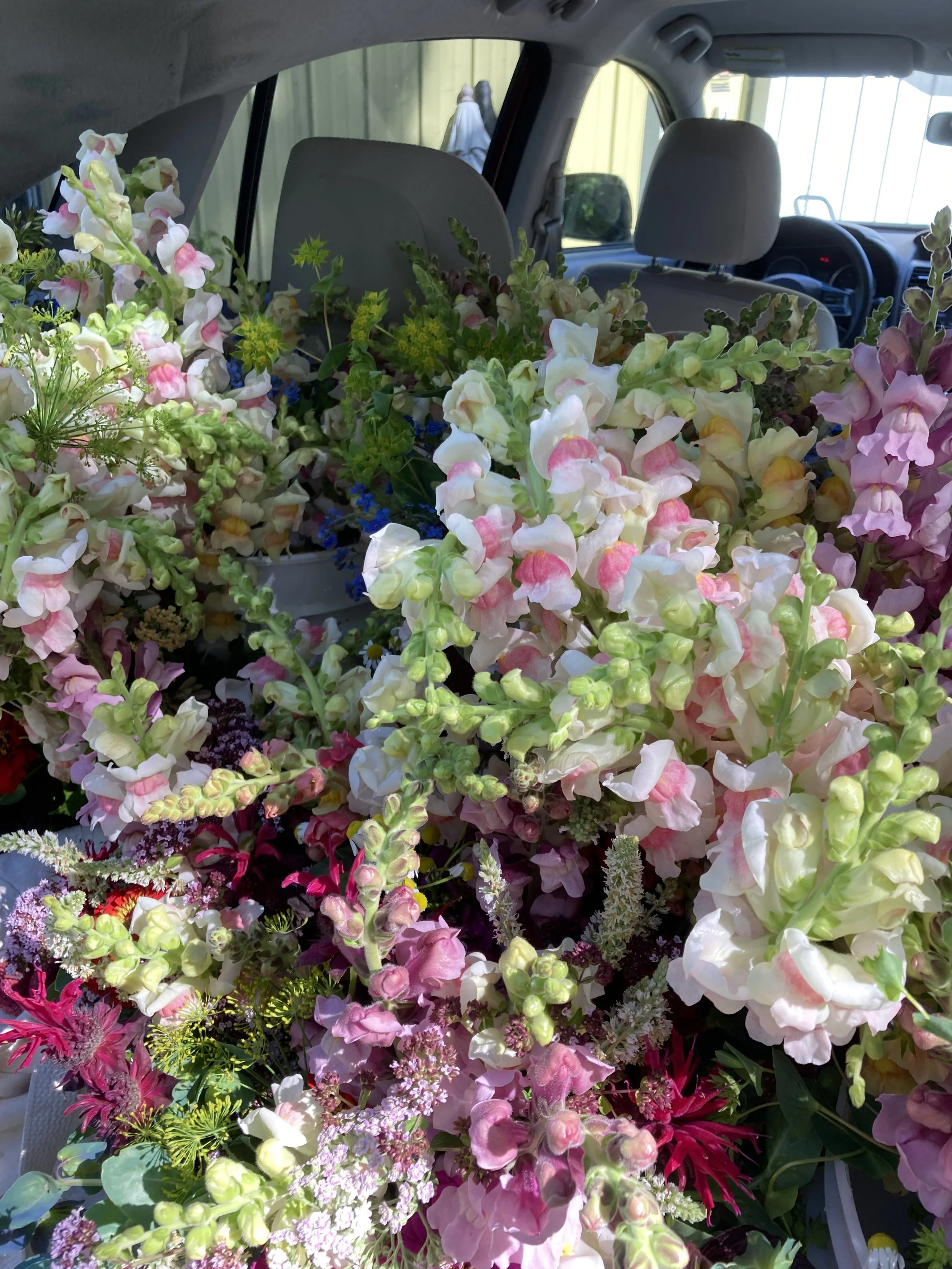 Bloom Buckets- Coming this Summer!