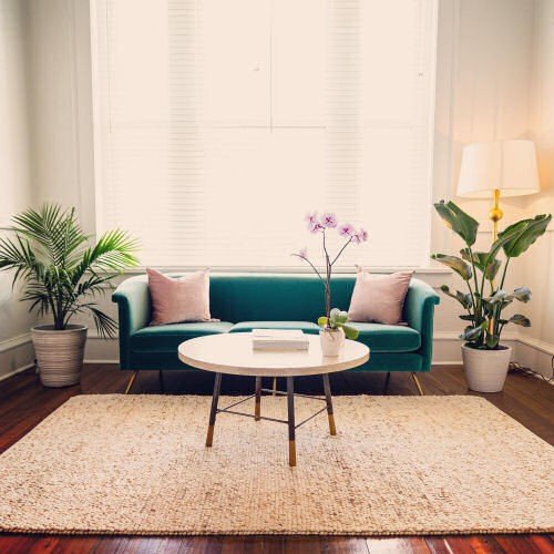 A teal velvet sofa with pink pillows sits between two large potted plants under a bright window