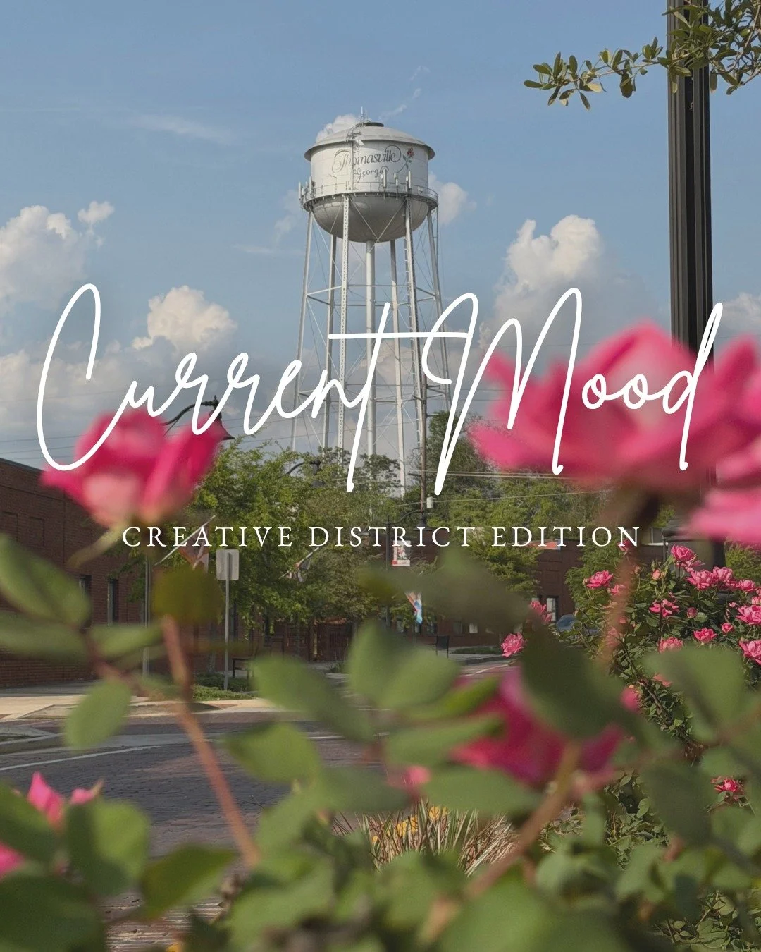 What are you in the mood for today? ✨

From treasure hunting and team spirit to creative finds, good eats and a place to unwind, there&rsquo;s plenty to match your mood in Downtown Thomasville&rsquo;s Creative District. 💕🏈🧶🍔

Which mood are you c