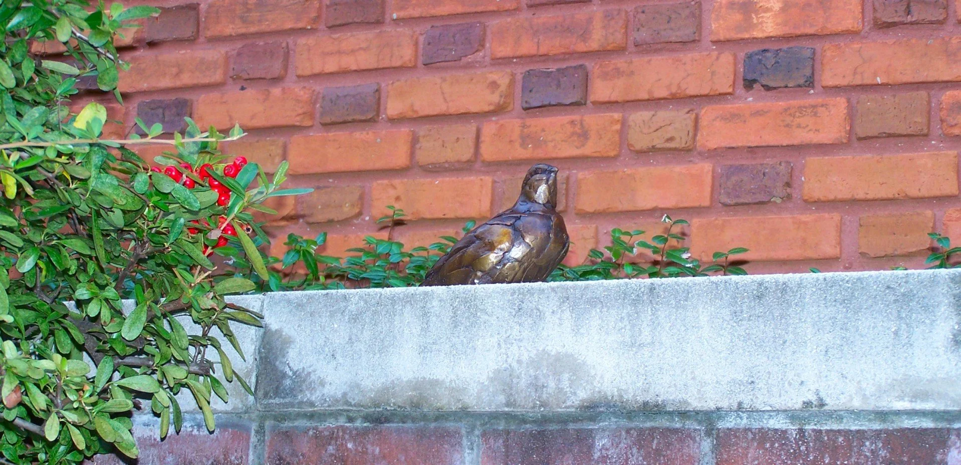 A small bronze quail sculpture resting on a concrete ledge in front of a brick wall