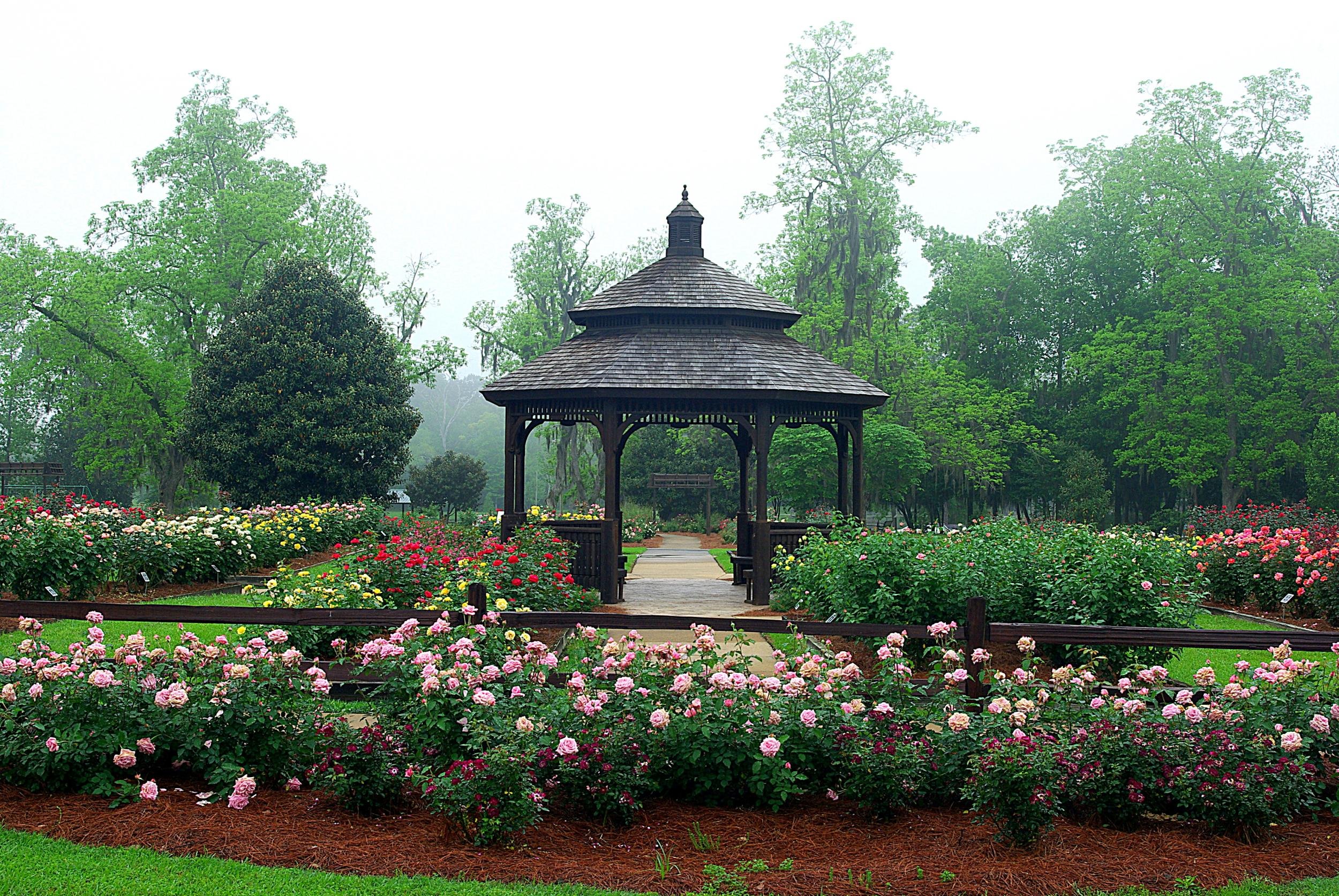 Public park gazebo surrounded by manicured rose beds and lush green trees in the fog