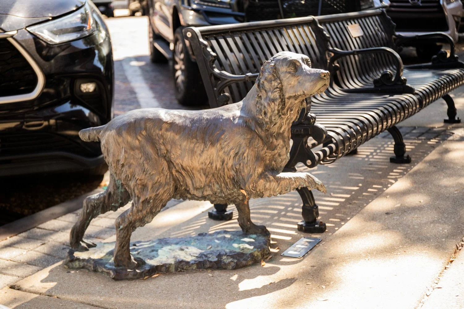 A bronze statue of a retriever dog stands on a sidewalk next to a metal park bench and parked cars