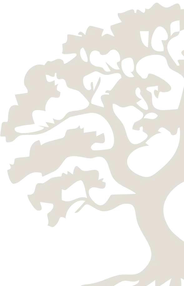 Partial silhouette of a tree