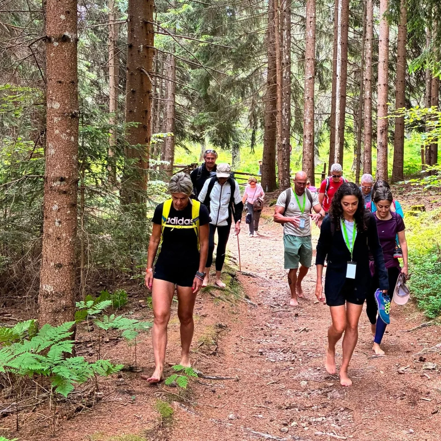 Barefoot Alpine Method™️ - Retreat