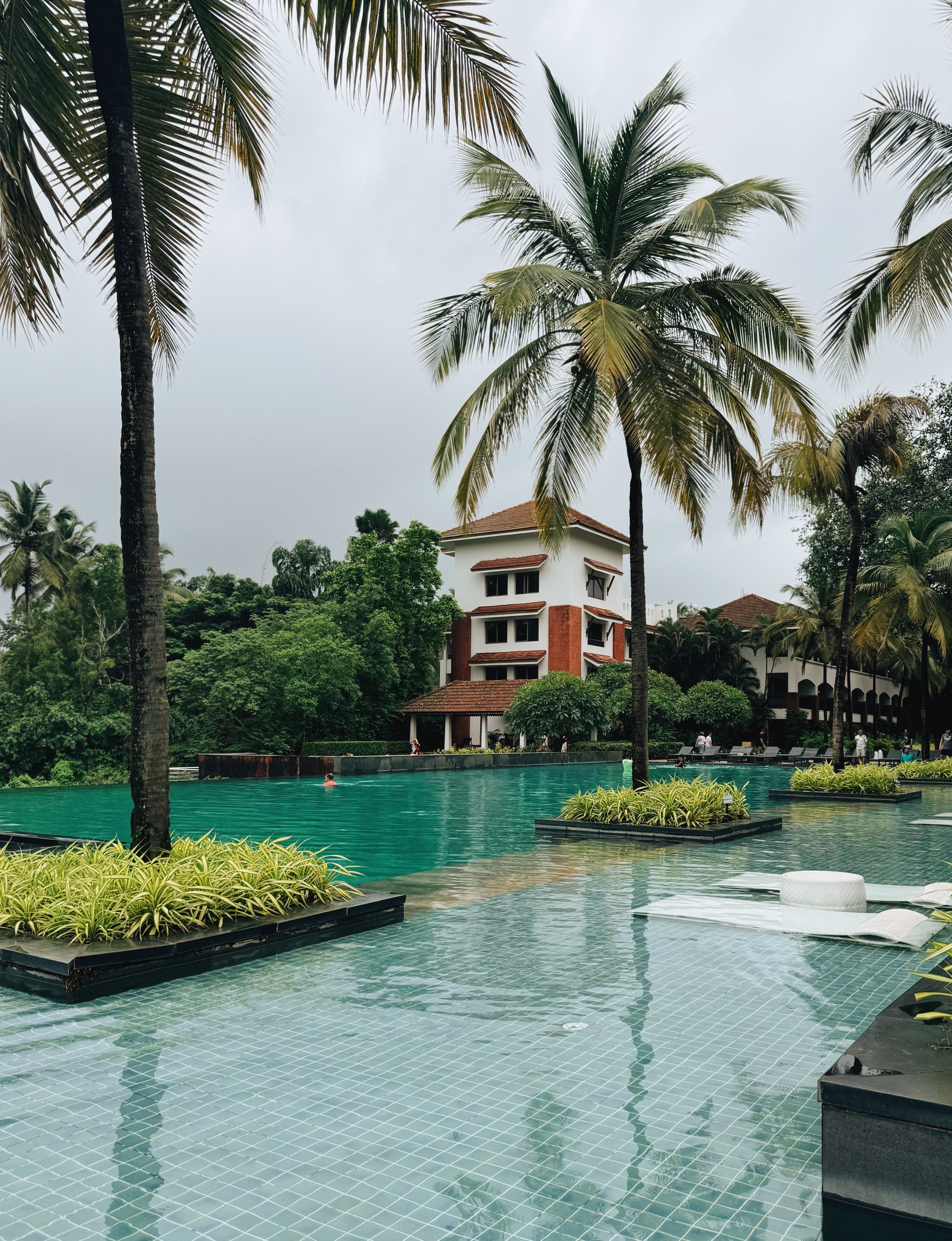 D3A47460-4AC8-4DAB-84DC-849C34AD24A9 2.JPG