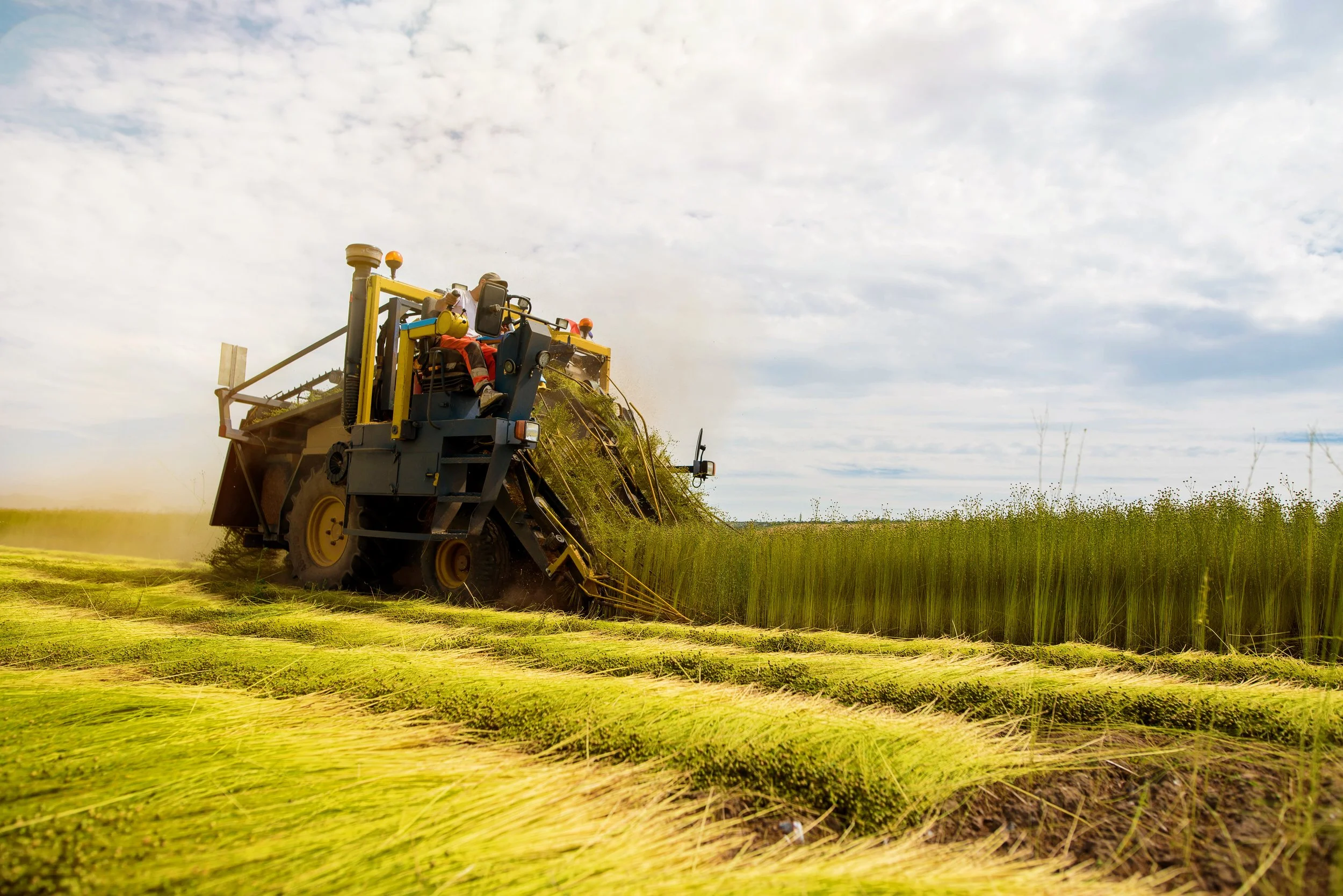 The Farm Bill