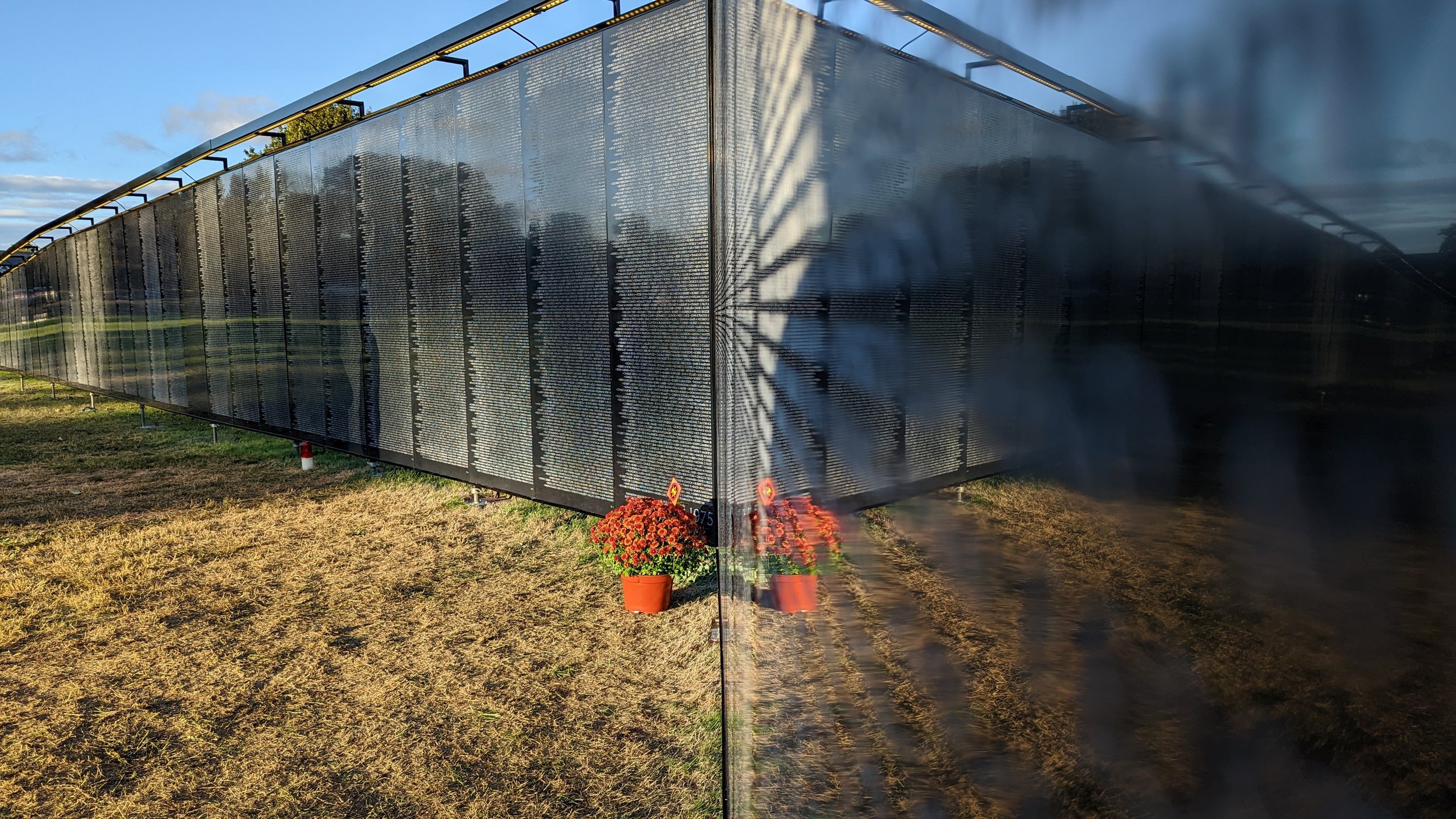 Flowers at apex of TWTH.jpg