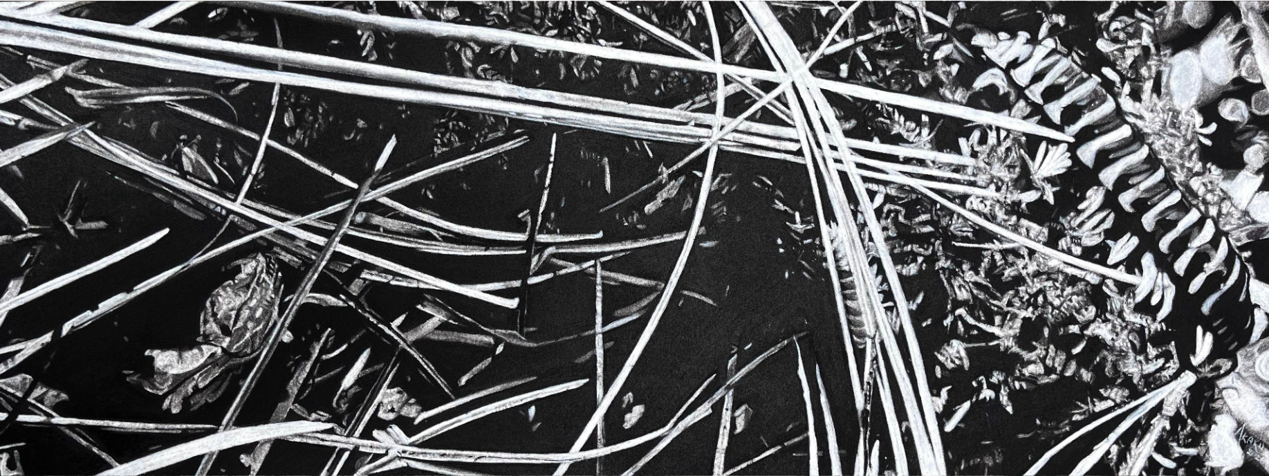 RENEE AKARU (11).png