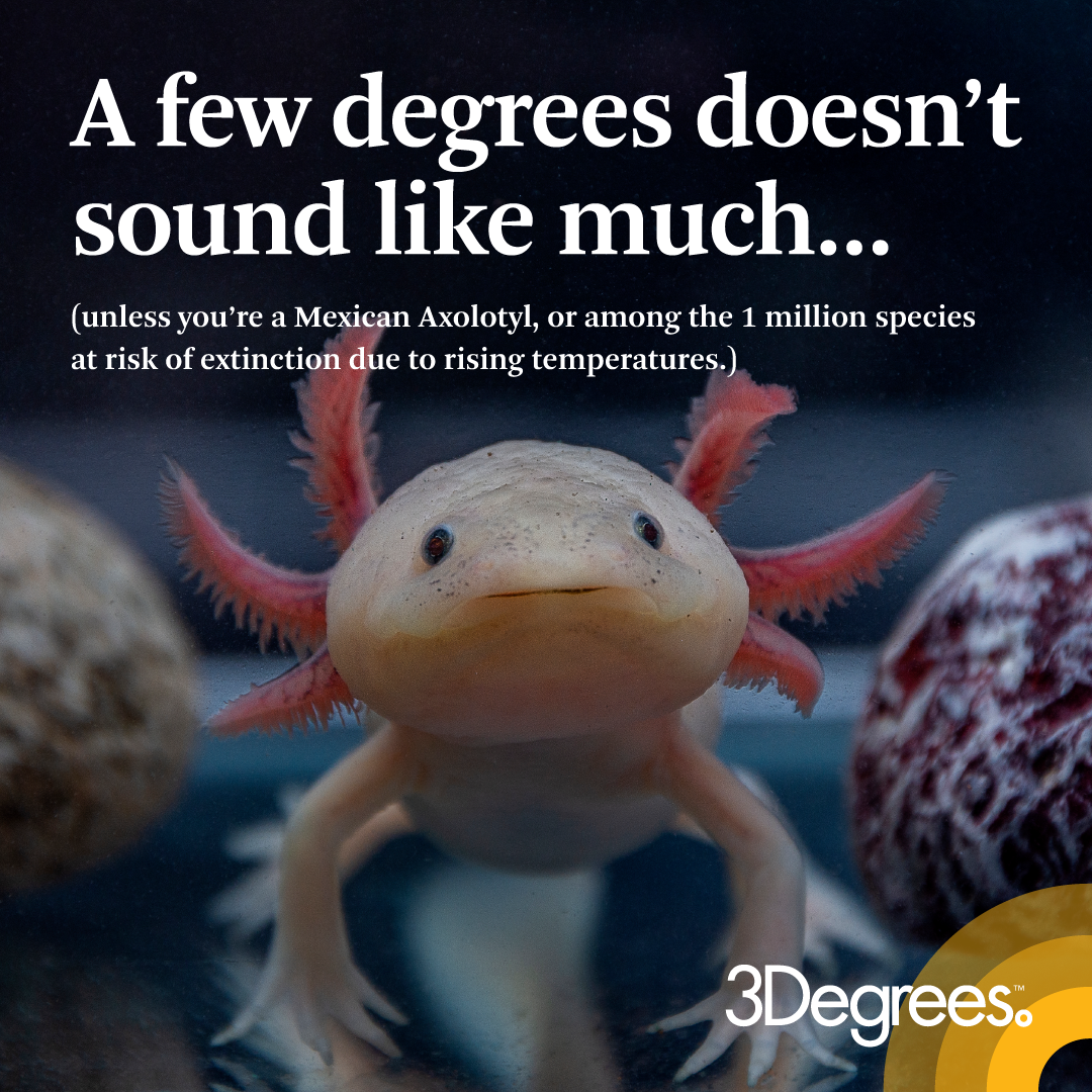 "A Few Degrees" brand campaign social activation