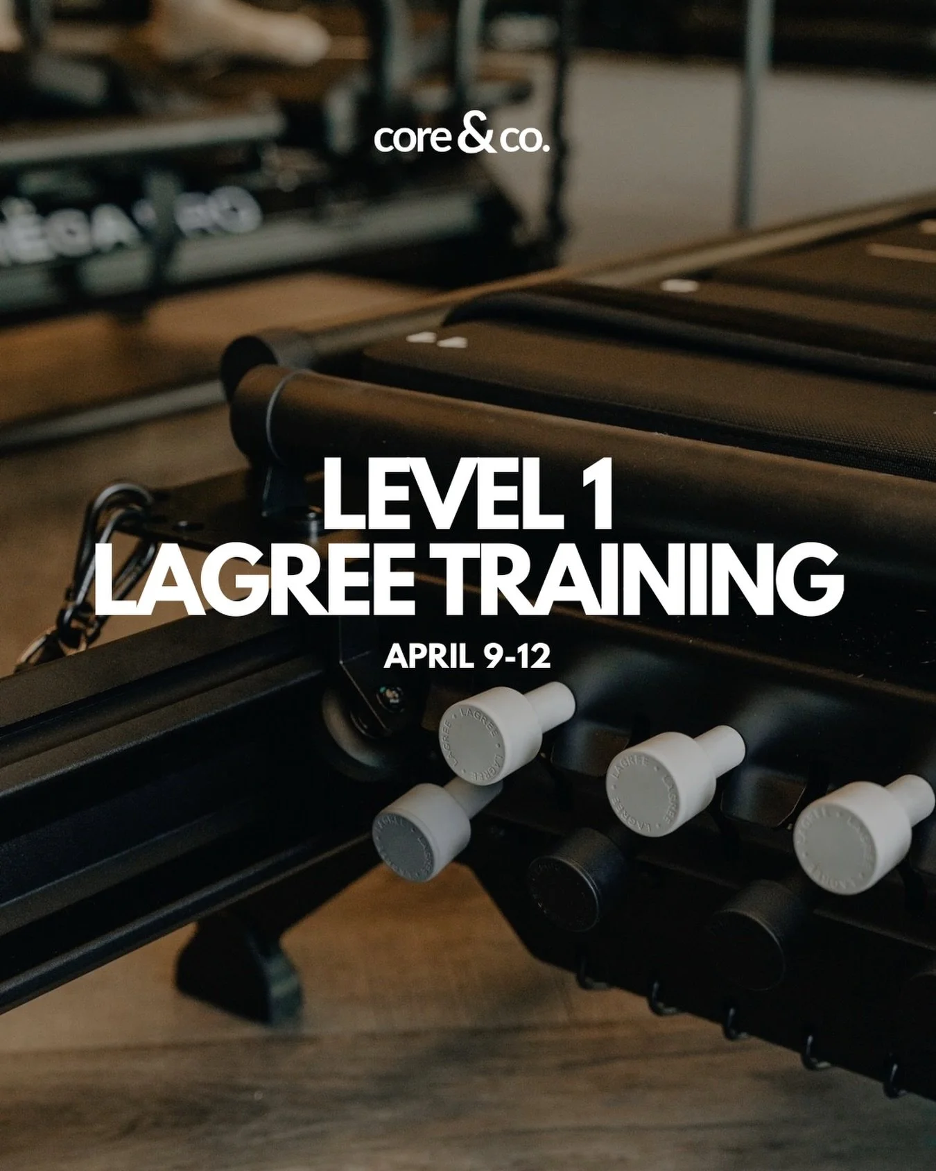 Do you want to get Lagree certified and become a Lagree instructor? Are you ready to serve some shakes? 🔥 We have 2 spots available! 

Core &amp; Co. is hosting a Level 1 Lagree Certification course led by Lagree Master Trainer Lilly Greenhalgh Apri