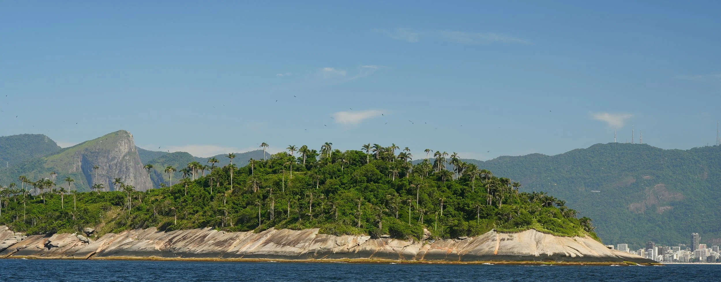 Ilha com vegetação densa, árvores altas e rochas na orla, vista para o mar com uma cidade ao fundo e montanhas ao redor.
