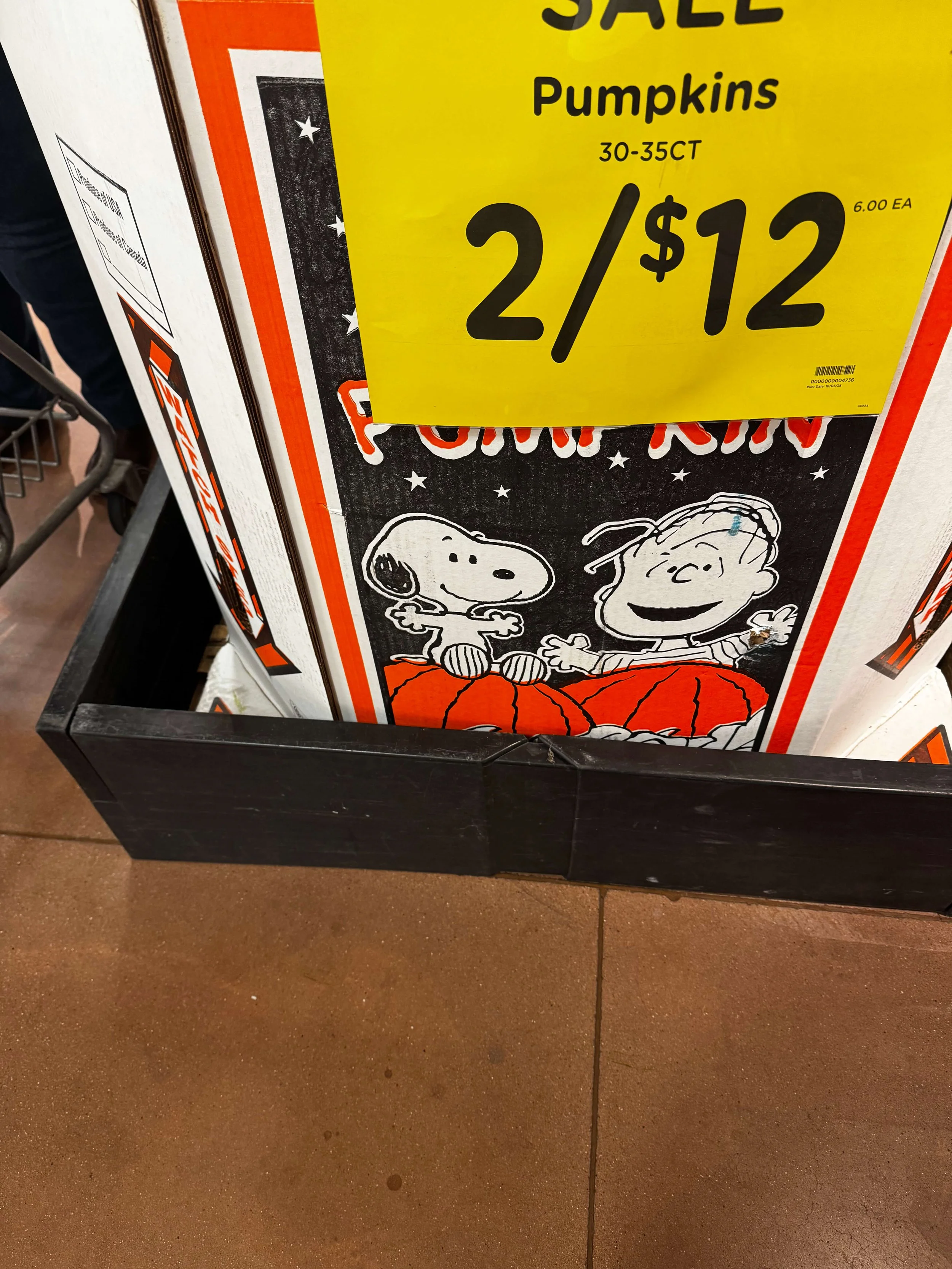 Good Girls Guide_Snoopy (2).jpg