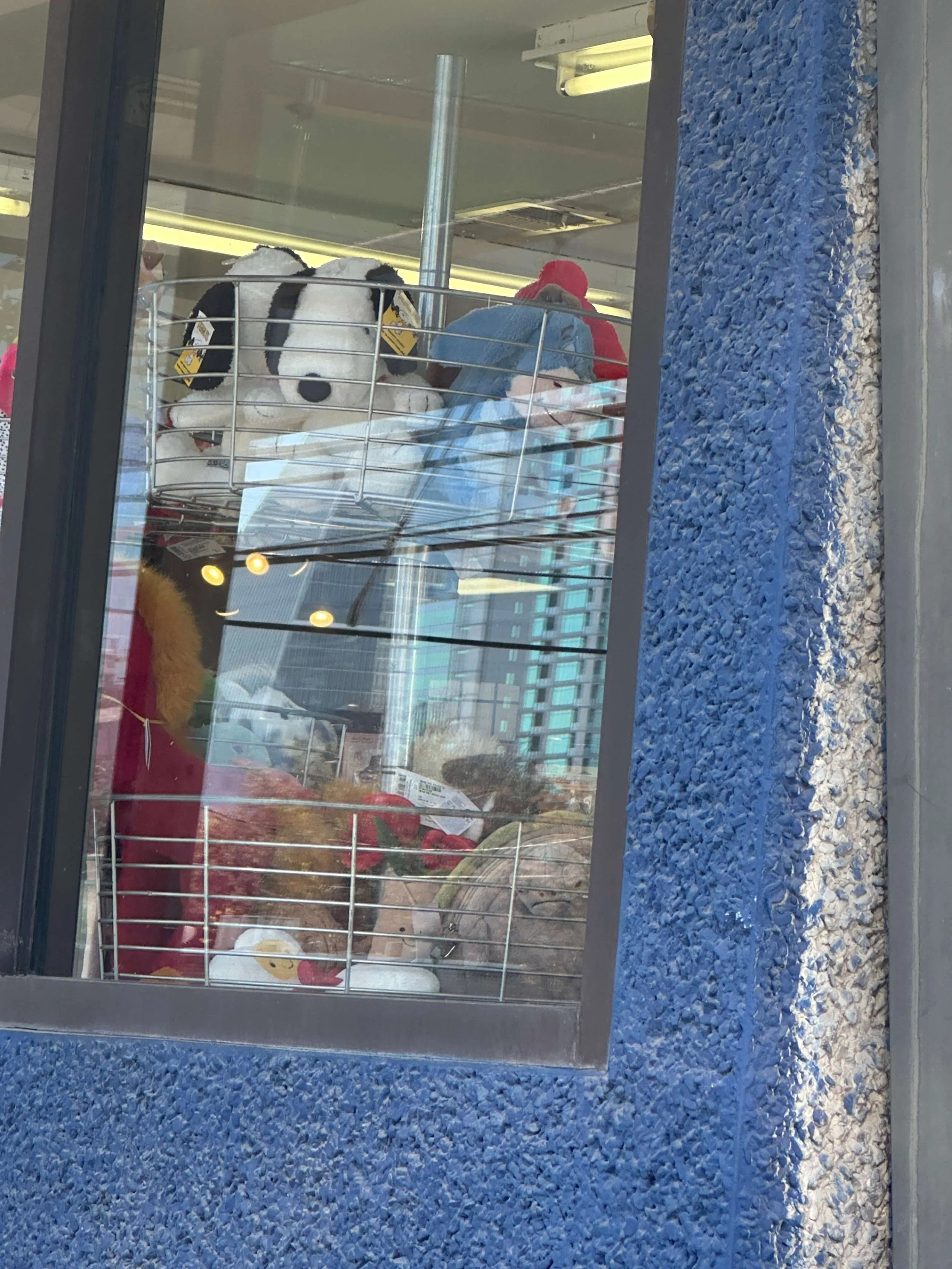 Good Girls Guide_Snoopy (9).JPG