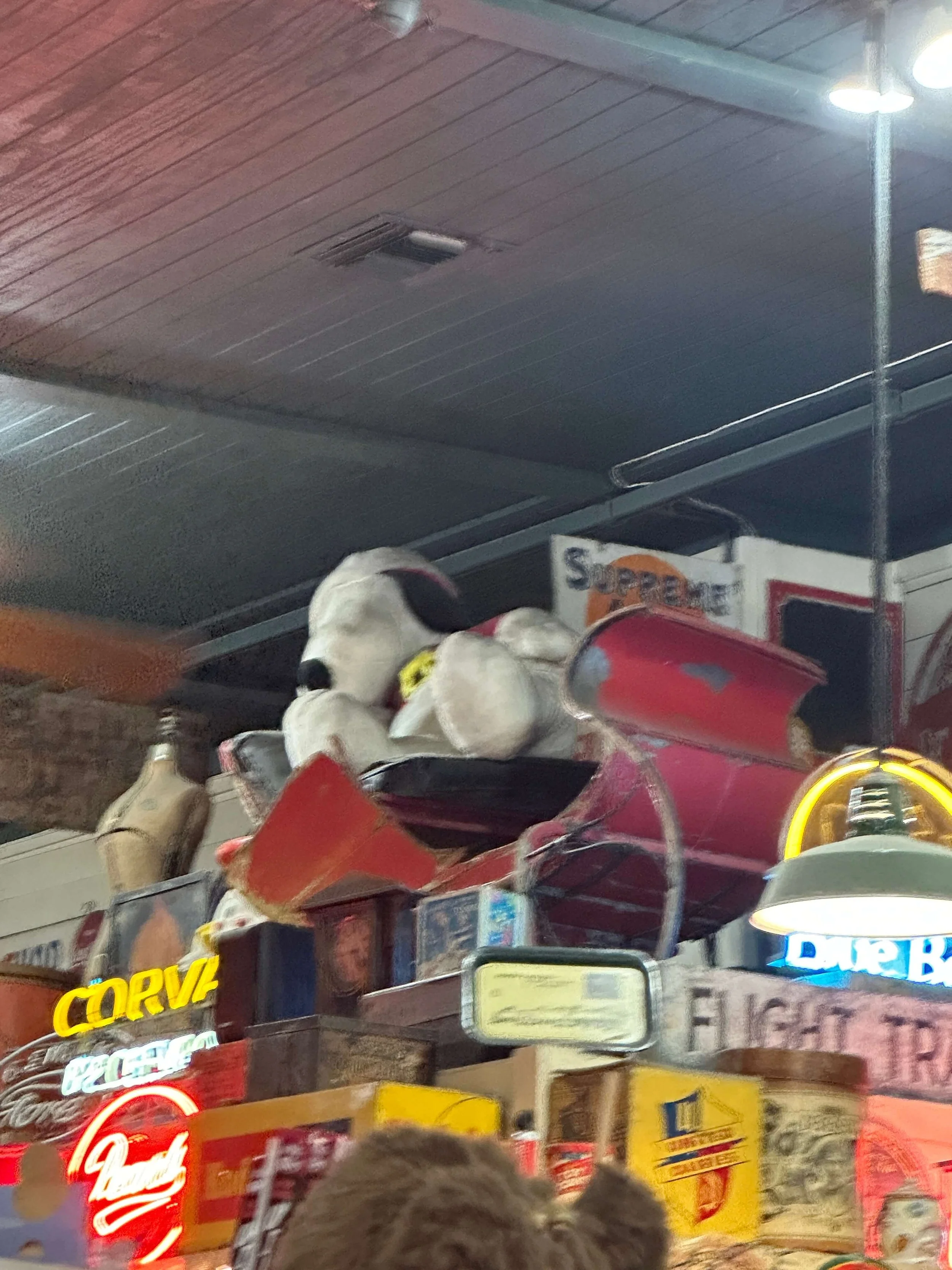 Good Girls Guide_Snoopy (4).JPG