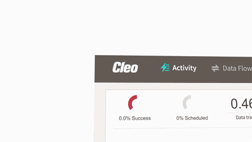 Outtake from Cleo promo video highlighting this product.