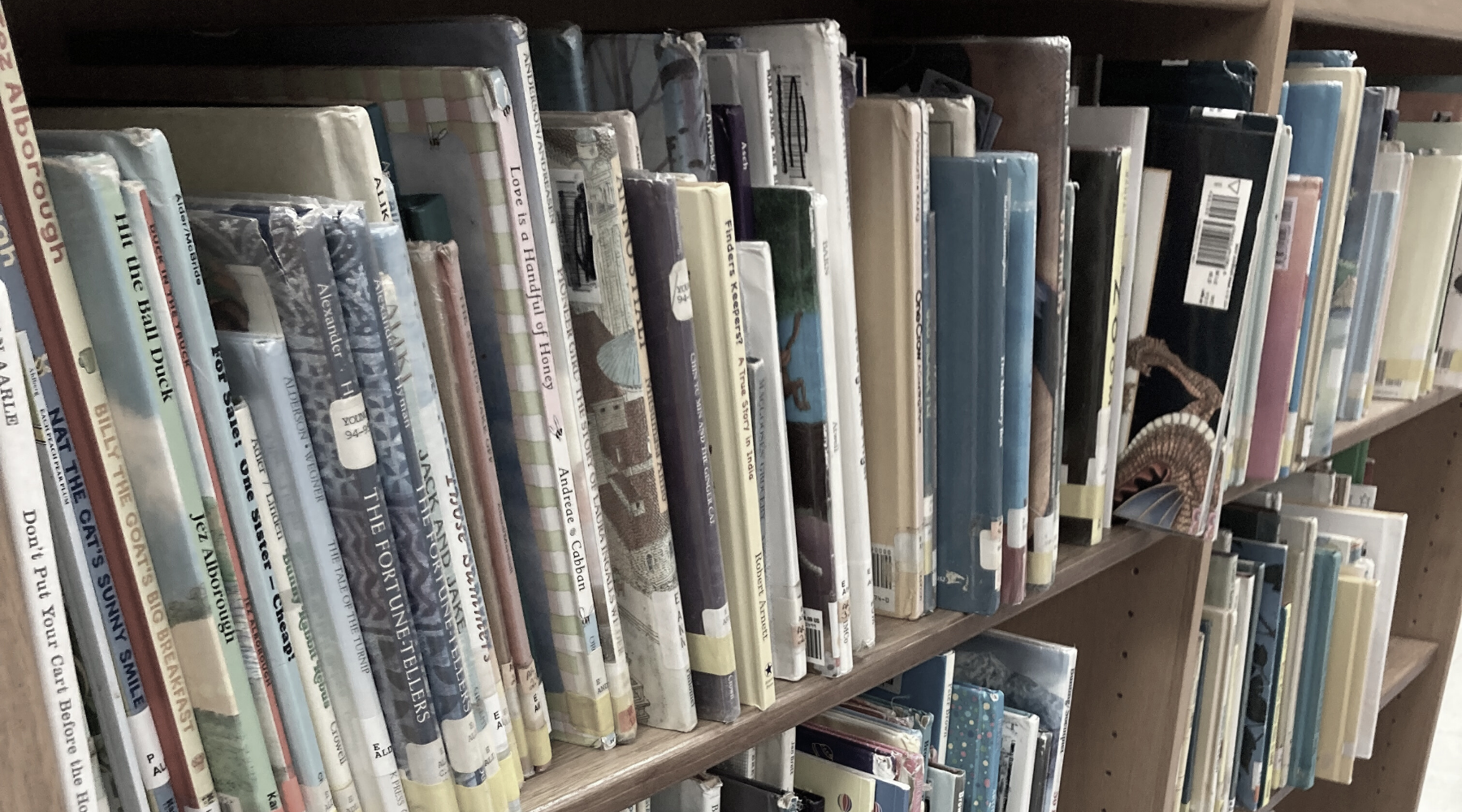 Bookshelves filled with children's books in the Stinesville Community Library.