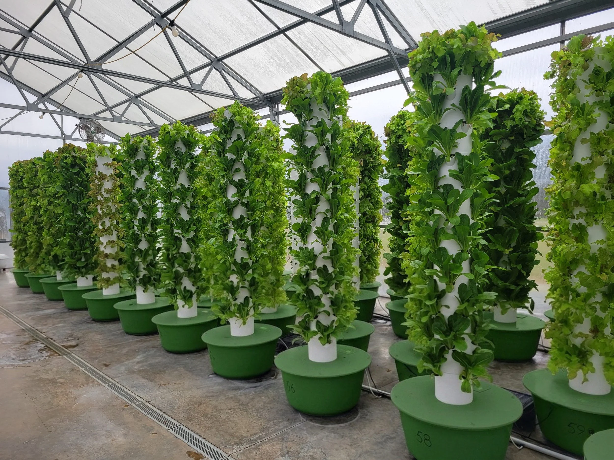 Building Farms for the Future: Introduction