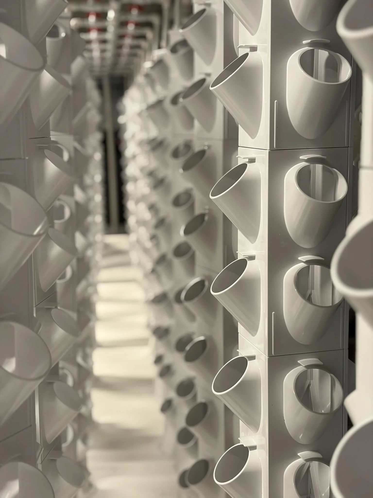 The Other Side of the Urban Indoor Farming Story