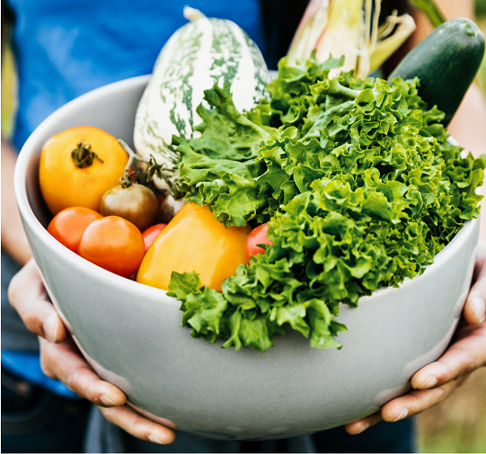 Bridging the Gap: Housing, Food Access &amp; Justice