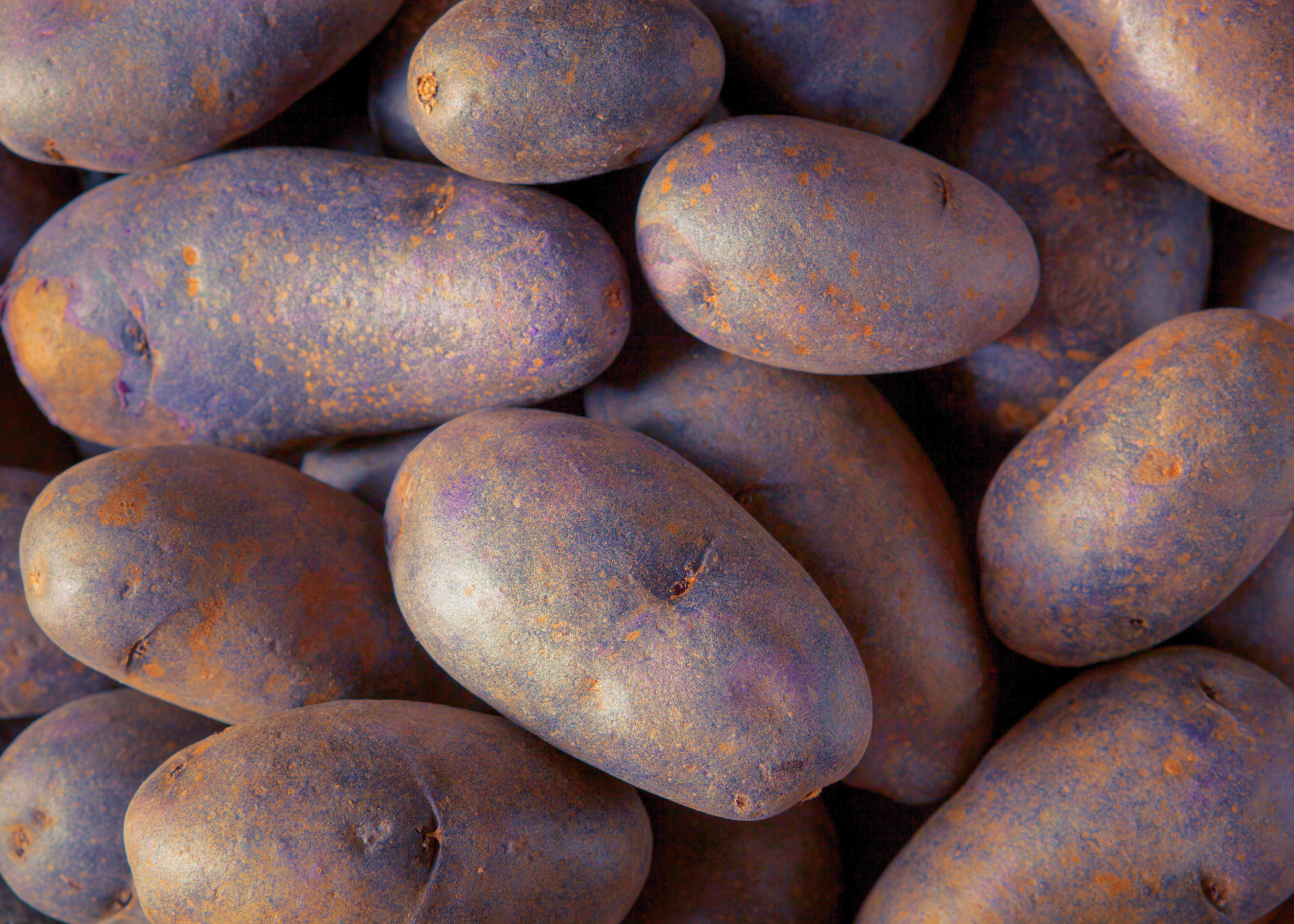 Purple speckled potatoes