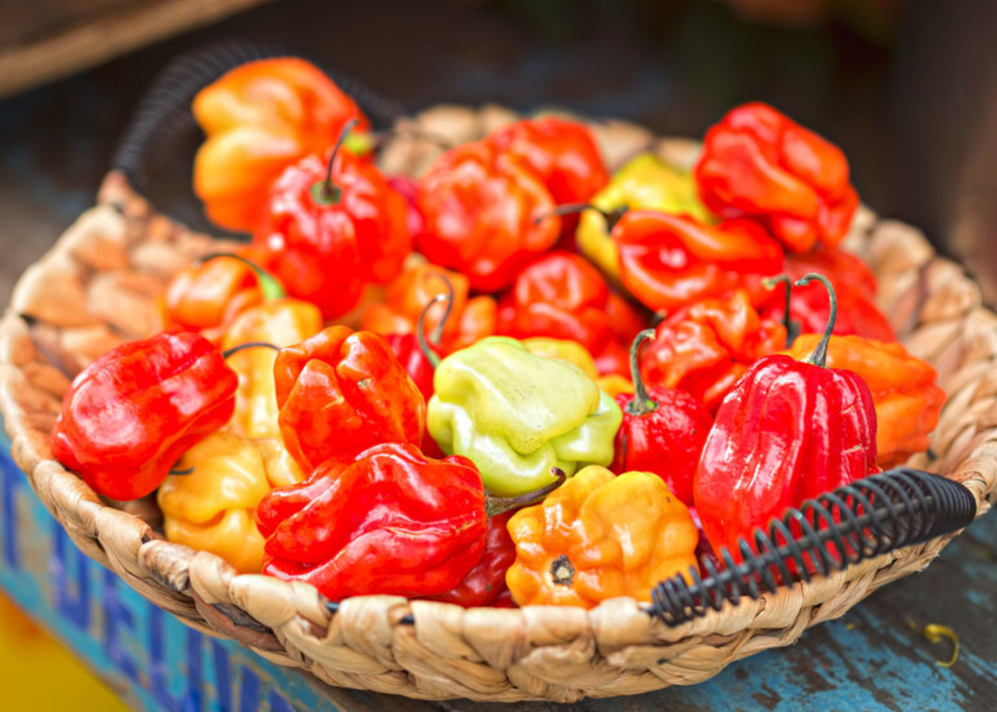 Scotch bonnet peppers in a basket