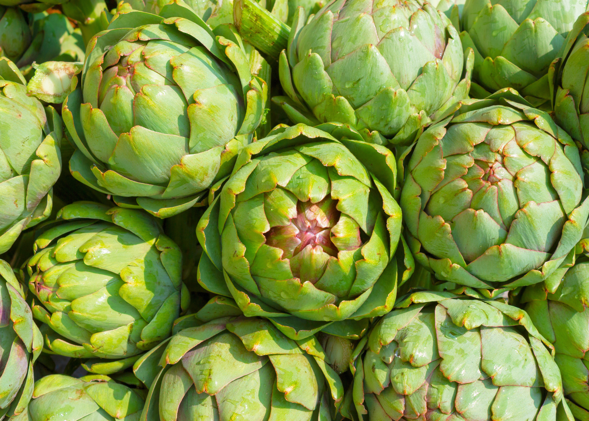 Artichoke heads