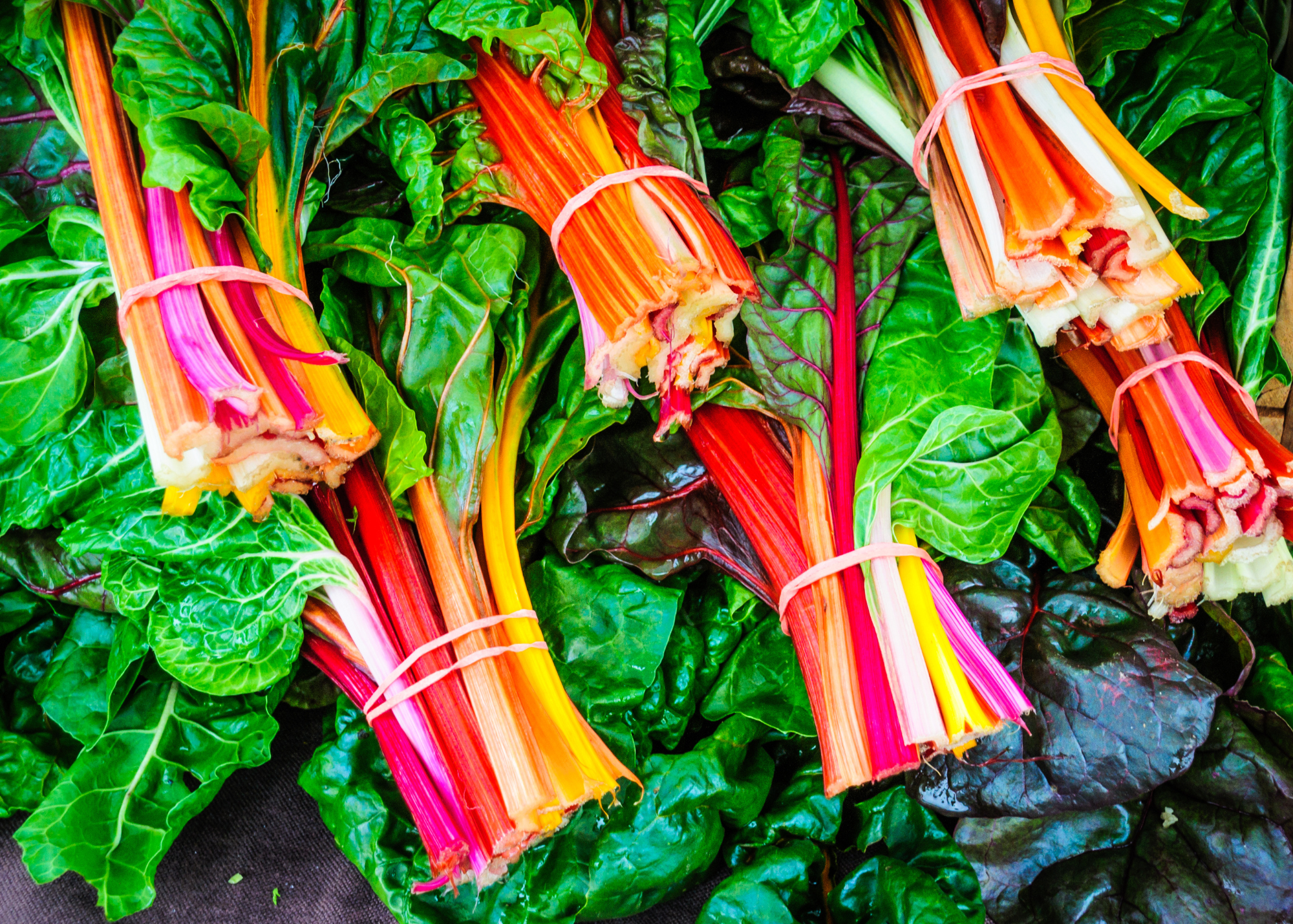 Bunches of swiss chard