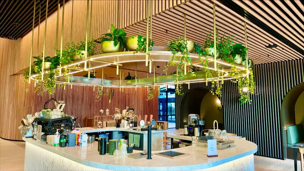 Interior Plant Designs