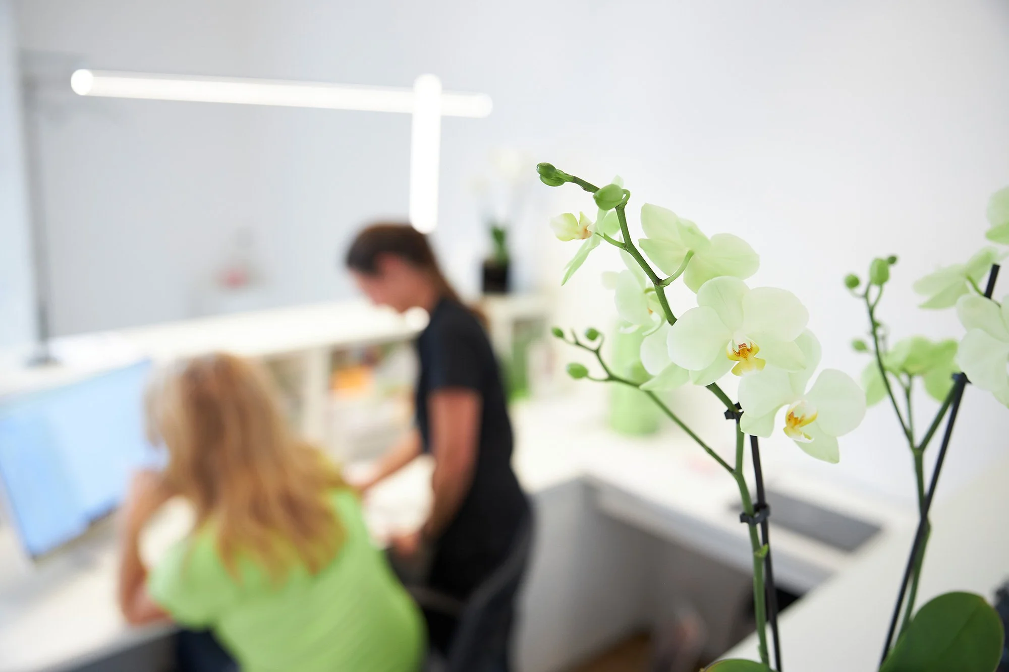 Nahaufnahme einer weißen Orchidee im Vordergrund, im Hintergrund zwei Frauen in einem Büro bei der Arbeit, unscharf